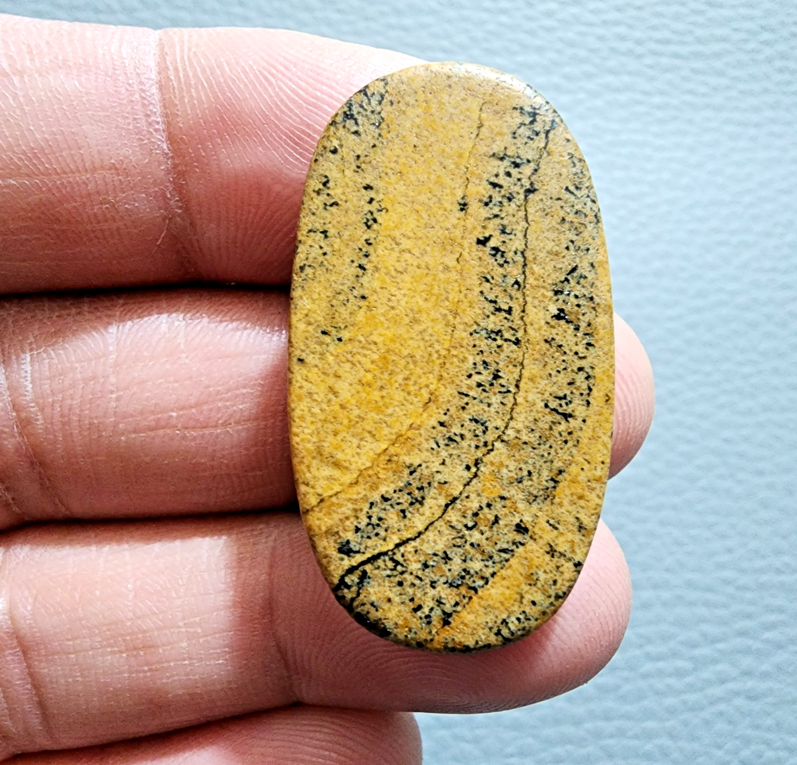 Unique Natural 41.60ct Picture Jasper Oval Cabochon – Gemstone Collector Stone