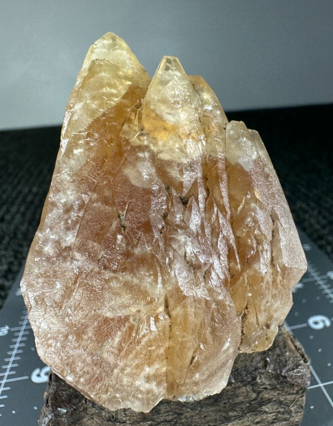 ➤ 2-3/4 INCH HONEY DOGTOOTH CALCITE CRYSTAL – Pugh Quarry Ohio VIDEO➤453