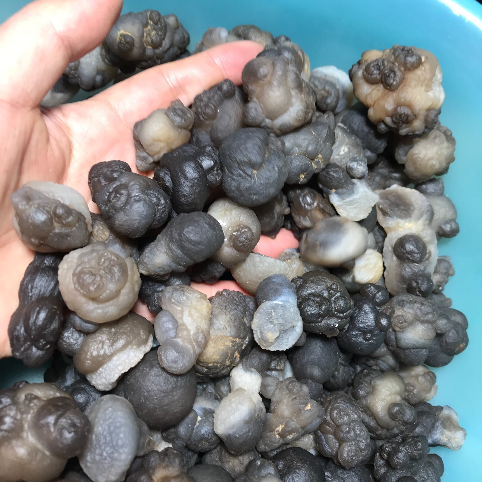 1000g 100pcs Bonsai Suiseki-Natural Gobi Agate Eyes Stone-Rare Stunning Viewing