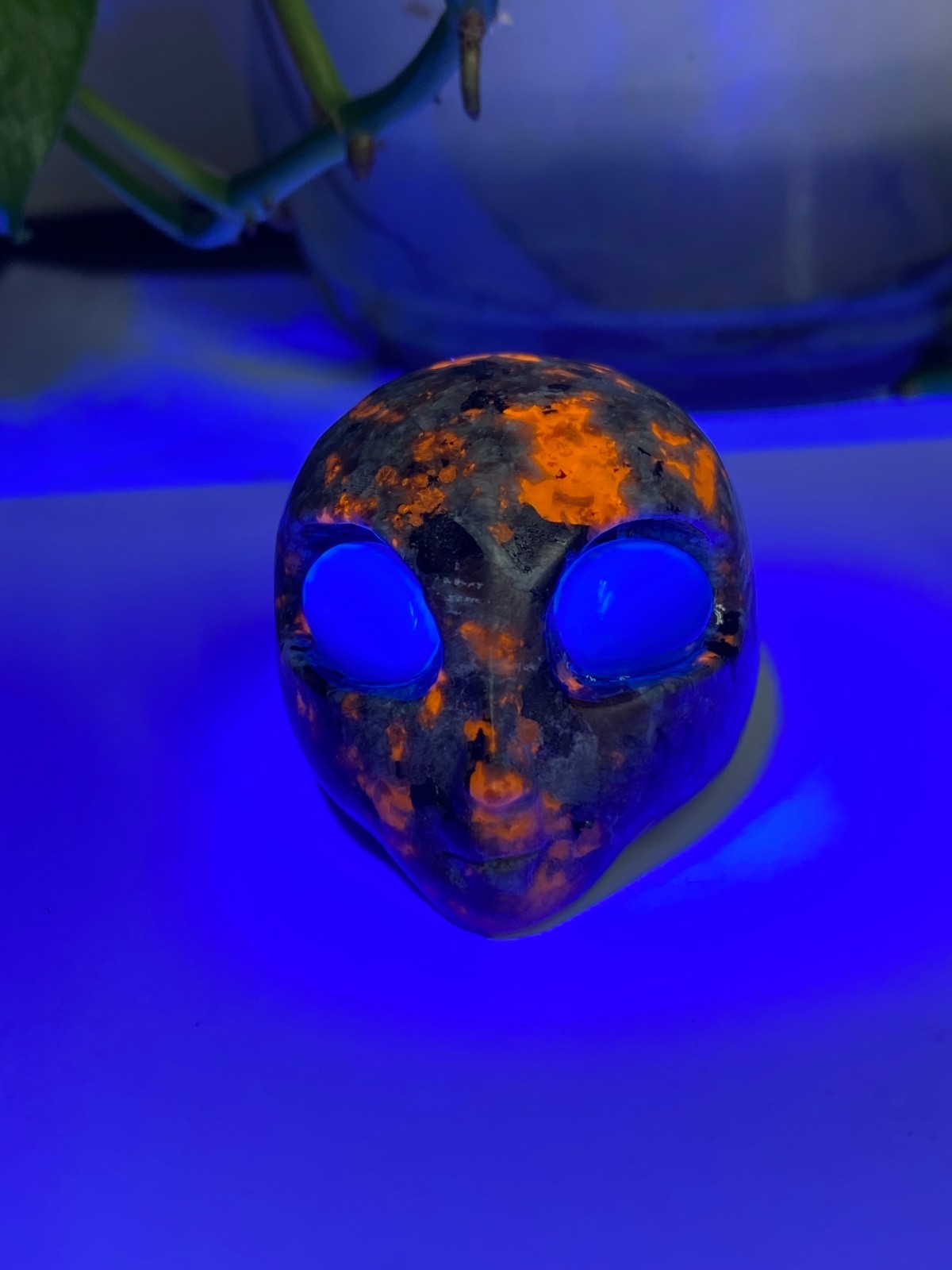 1pc Natural Yooperlite Quartz Carved Alien Skull Crystal Reiki healing gift