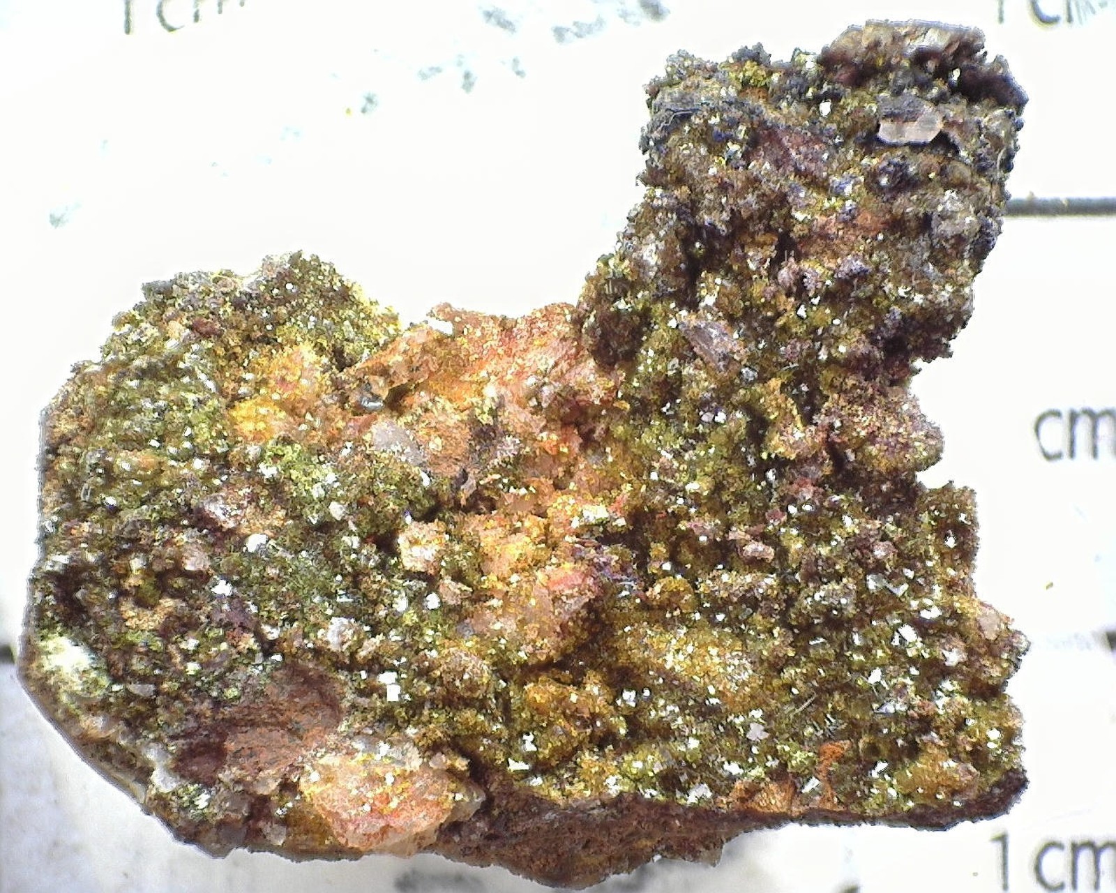 12159 MM Pharmacosiderite Kamariza Dump Agios Konstantino Greece 220055
