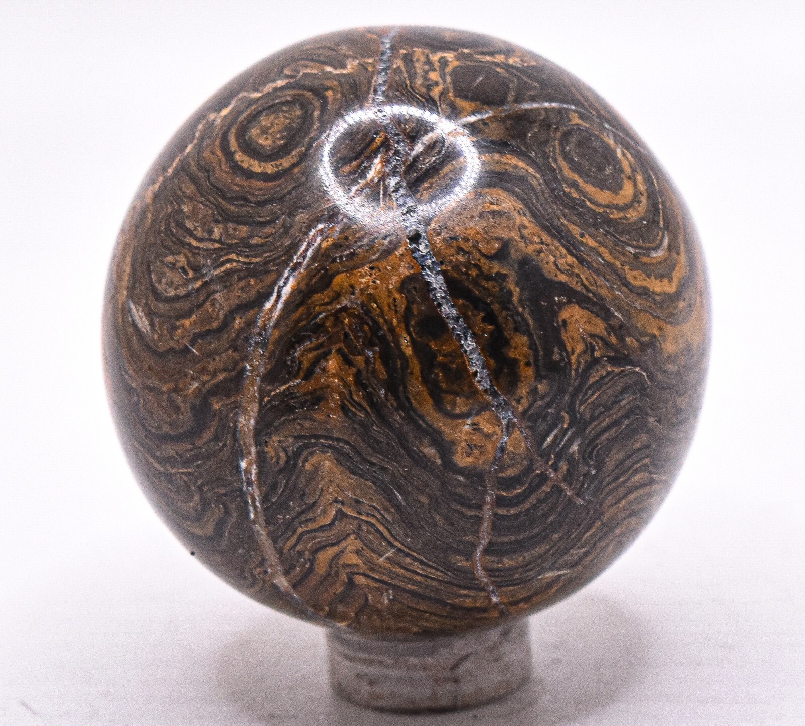 46mm Stromatolite Sphere Black Brown Algae Fossil Gemstone Mineral Ball – Peru