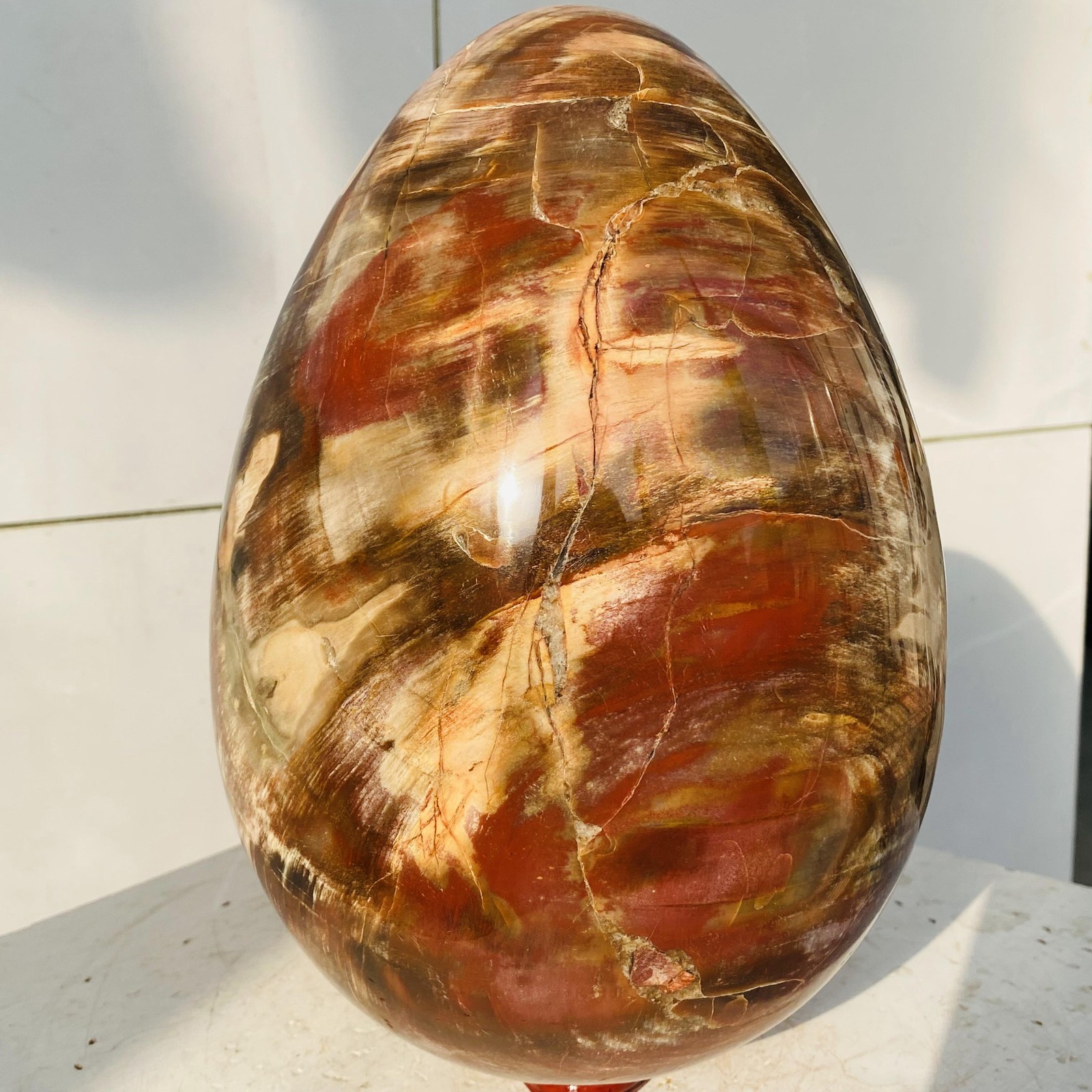 Natural Petrified Wood Egg Quartz Crystal Fossil Mineral 7760g