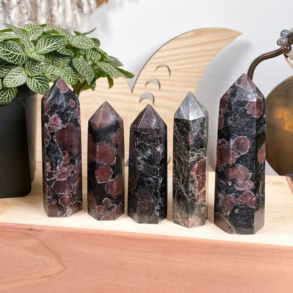 Garnet in Arfvedsonite Stone Tower Point Healing Crystal Wand Decor Collection