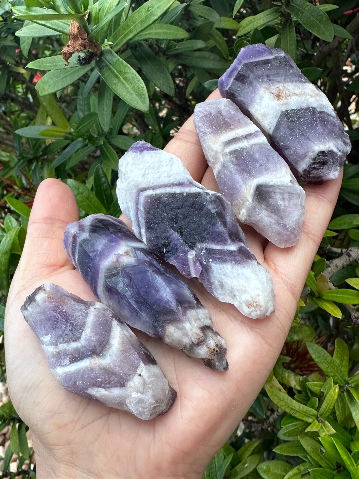 Grade A++ Chevron Amethyst Rough Stones, 2″ – 4″ Natural Chevron Amethyst Point