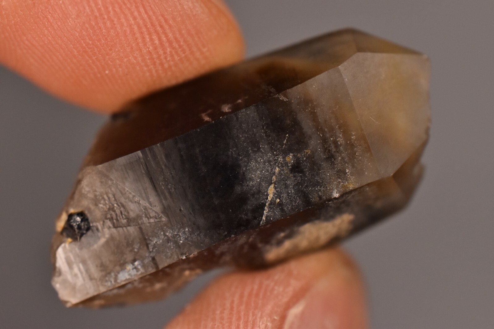 *AUSTRALIAN CASSITERITE* In Smokey Quartz 3.3cm 8g Natural Crystal Elsmore