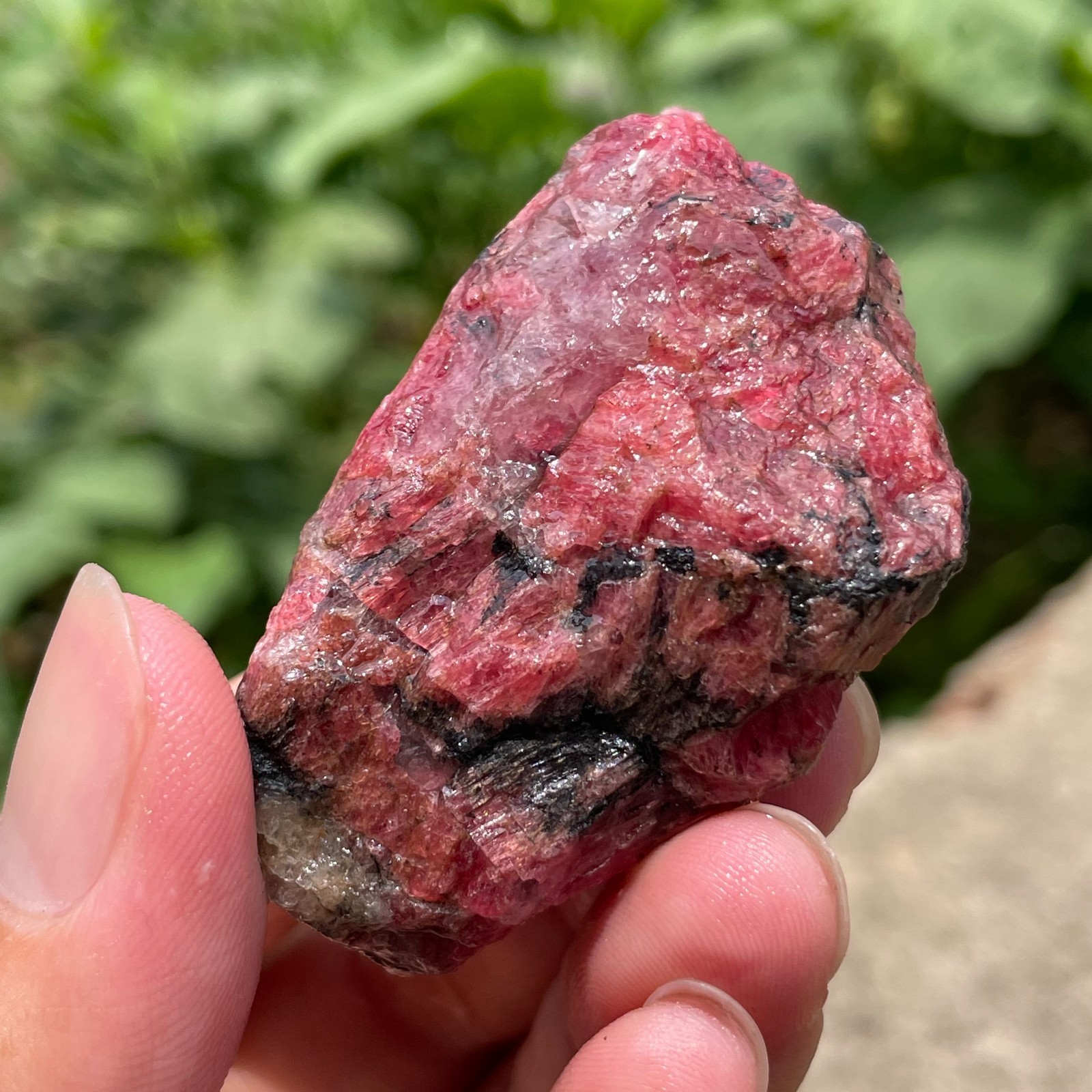 84g Small Raw Ore Red Black Rhodonite Quartz Gemstone Mineral Specimen