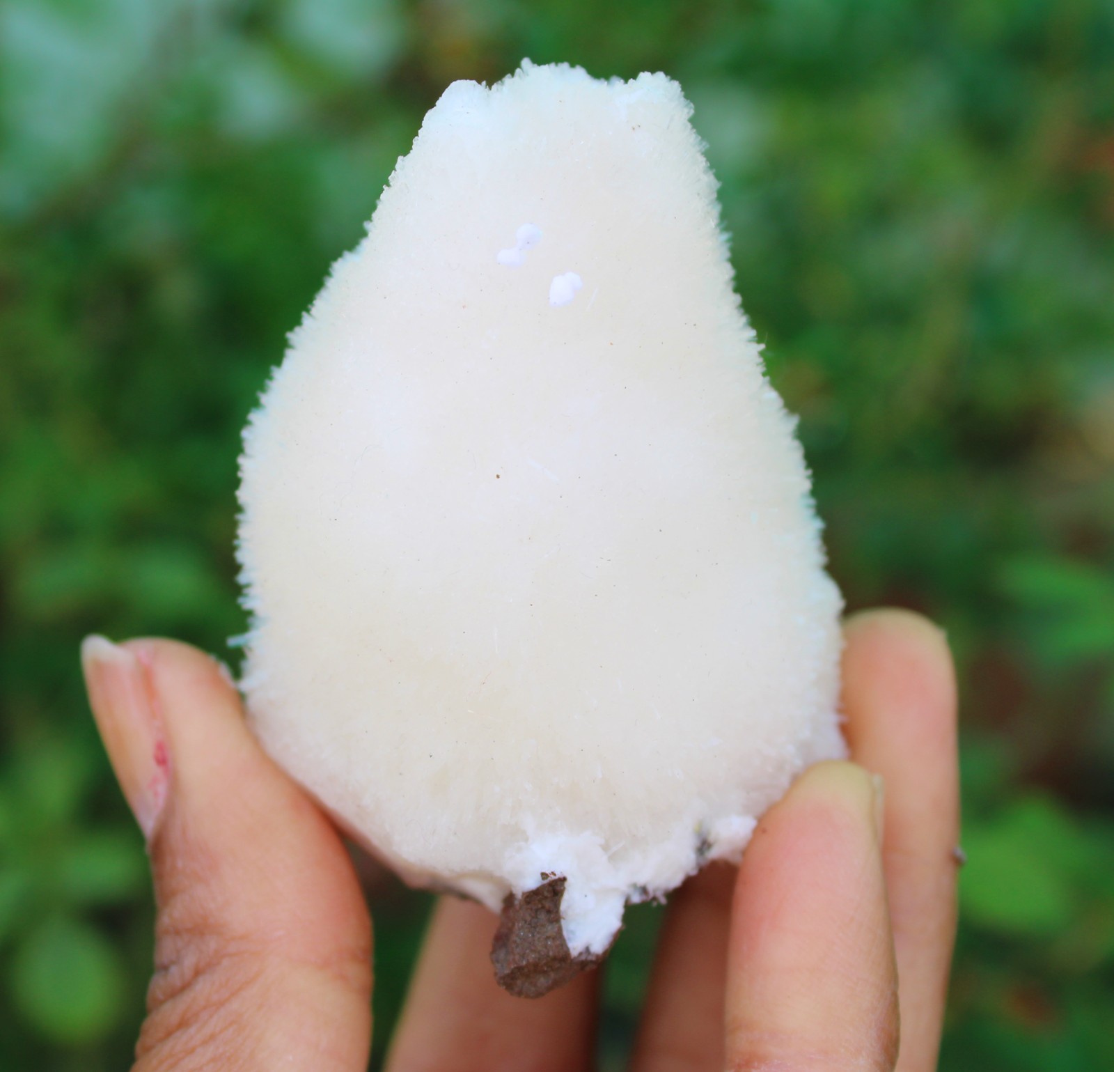 SCOLECITE ON MATRIX MINERALS SPECIMEN