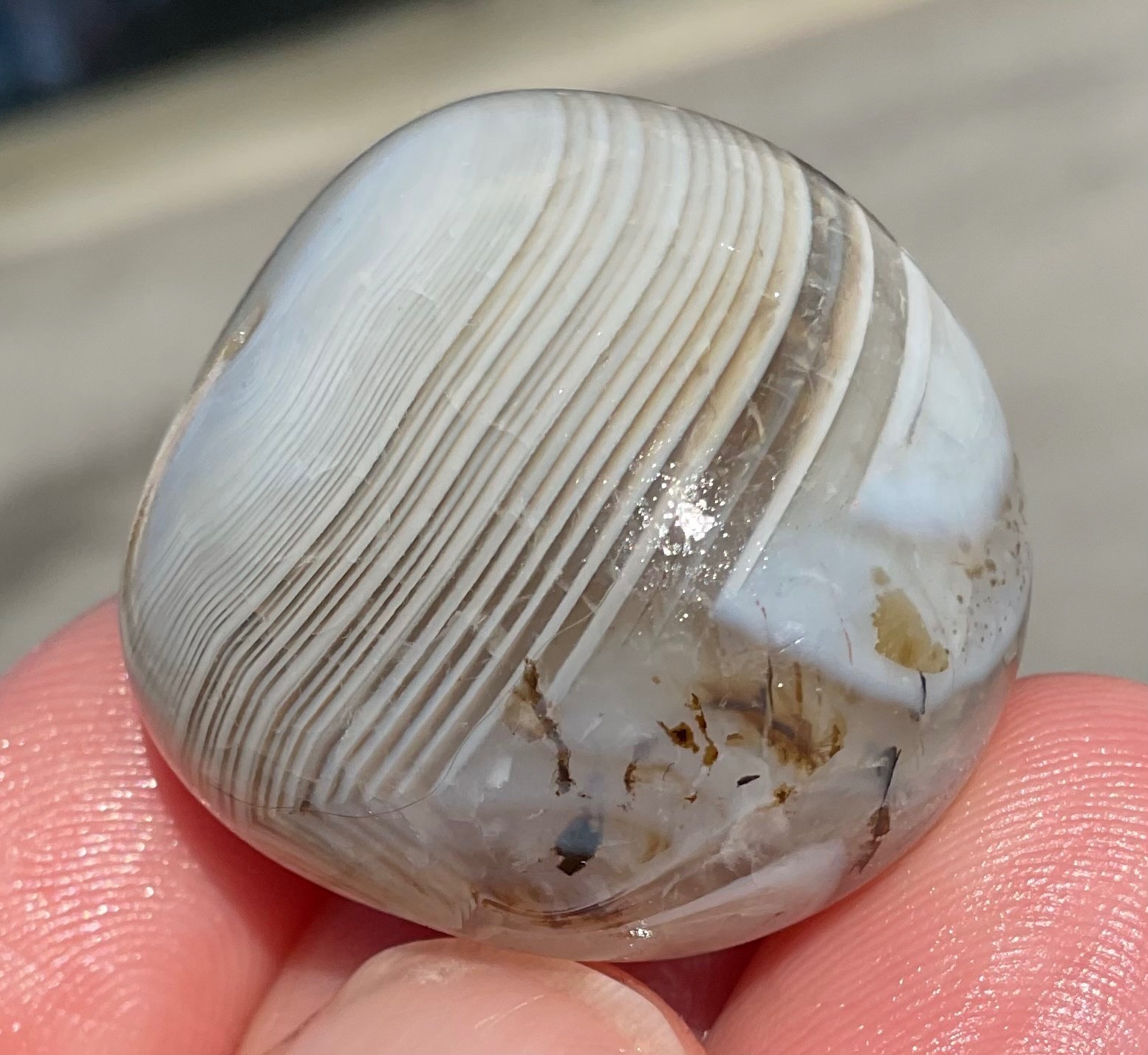 Polished Dendritic Agate Palmstone Shadow Banded Chalcedony 1.0 oz