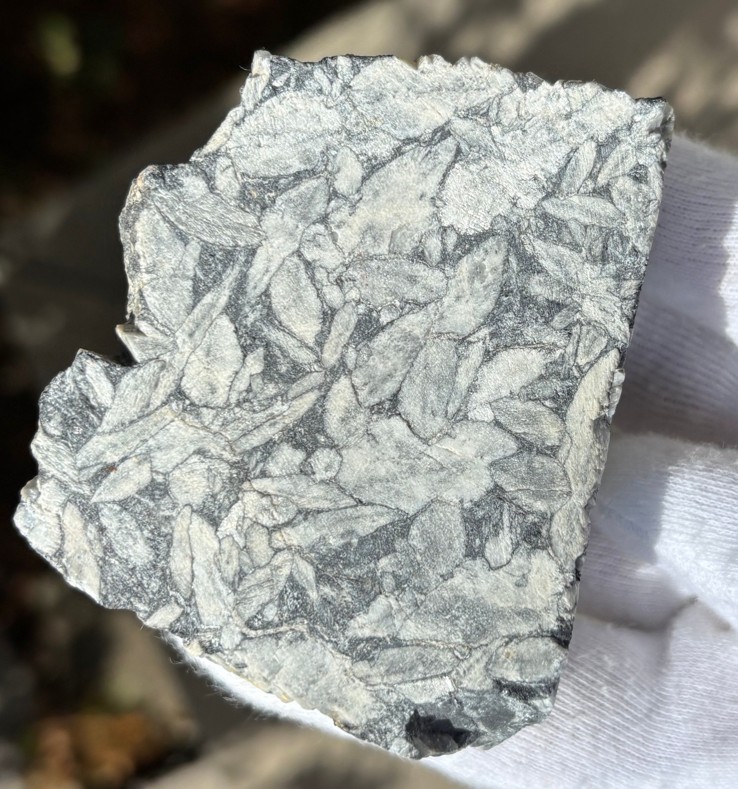 1lb+ LOT PINOLITH JASPER ROUGH LARGE SPECIMENS SPECIMEN 1 POUND LARGE CHUNKS