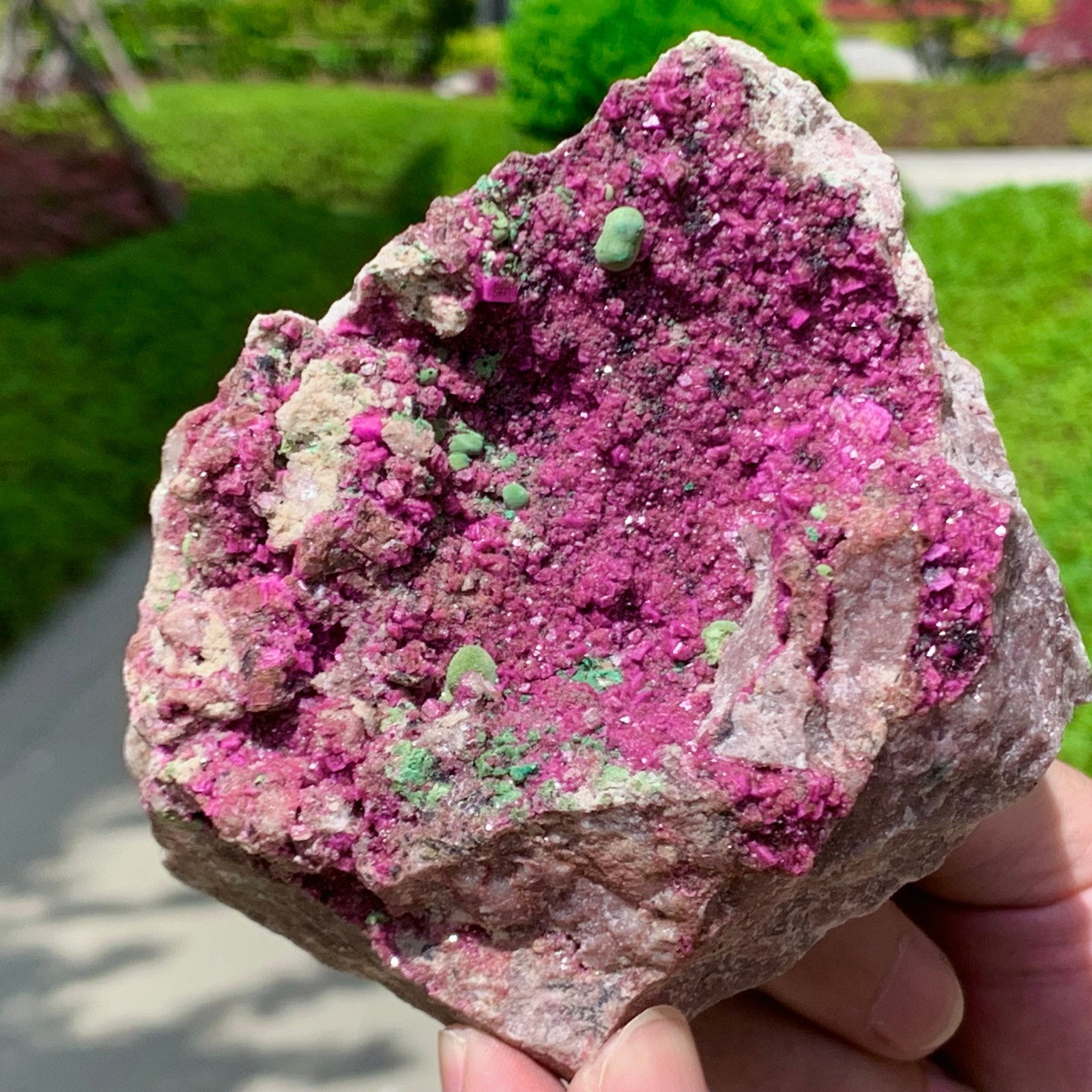 1.14LB Natural Cobalto Calcite graininess Crystal Mineral specimen Healing-Congo