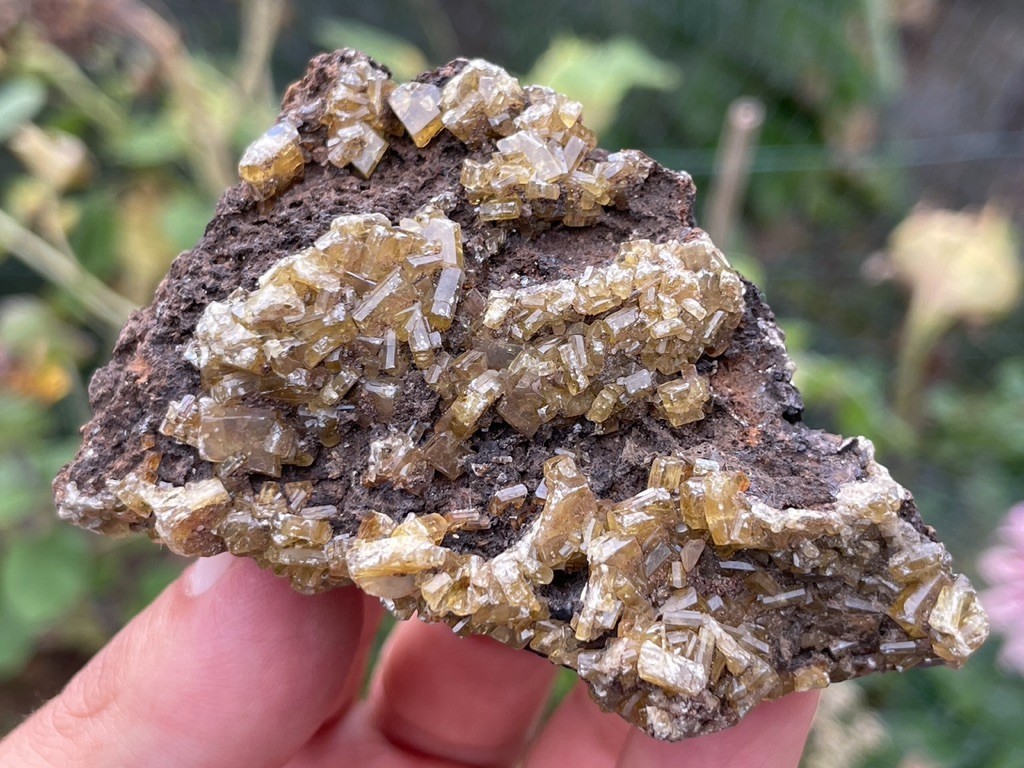 Baryte on Siderite – Magma Mine, Superior, Pinal County, Arizona, USA