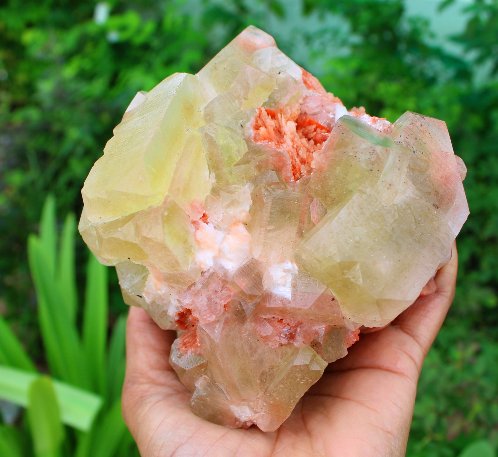 GREEN, YELLOW APOPHYLLITE CRYSTAL ,CUBES FORMAT ON STILBITE MINERAL SPECIMEN