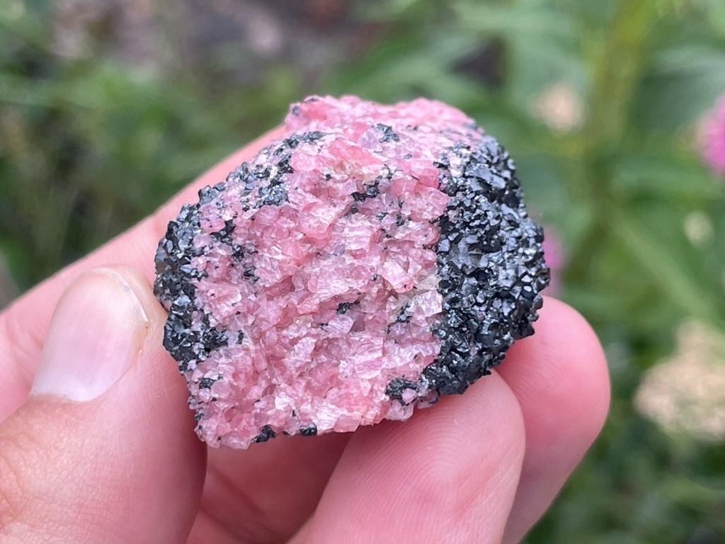 Rhodonite + Willemite in Franklinite – Franklin Mine, Sussex County, New Jersey