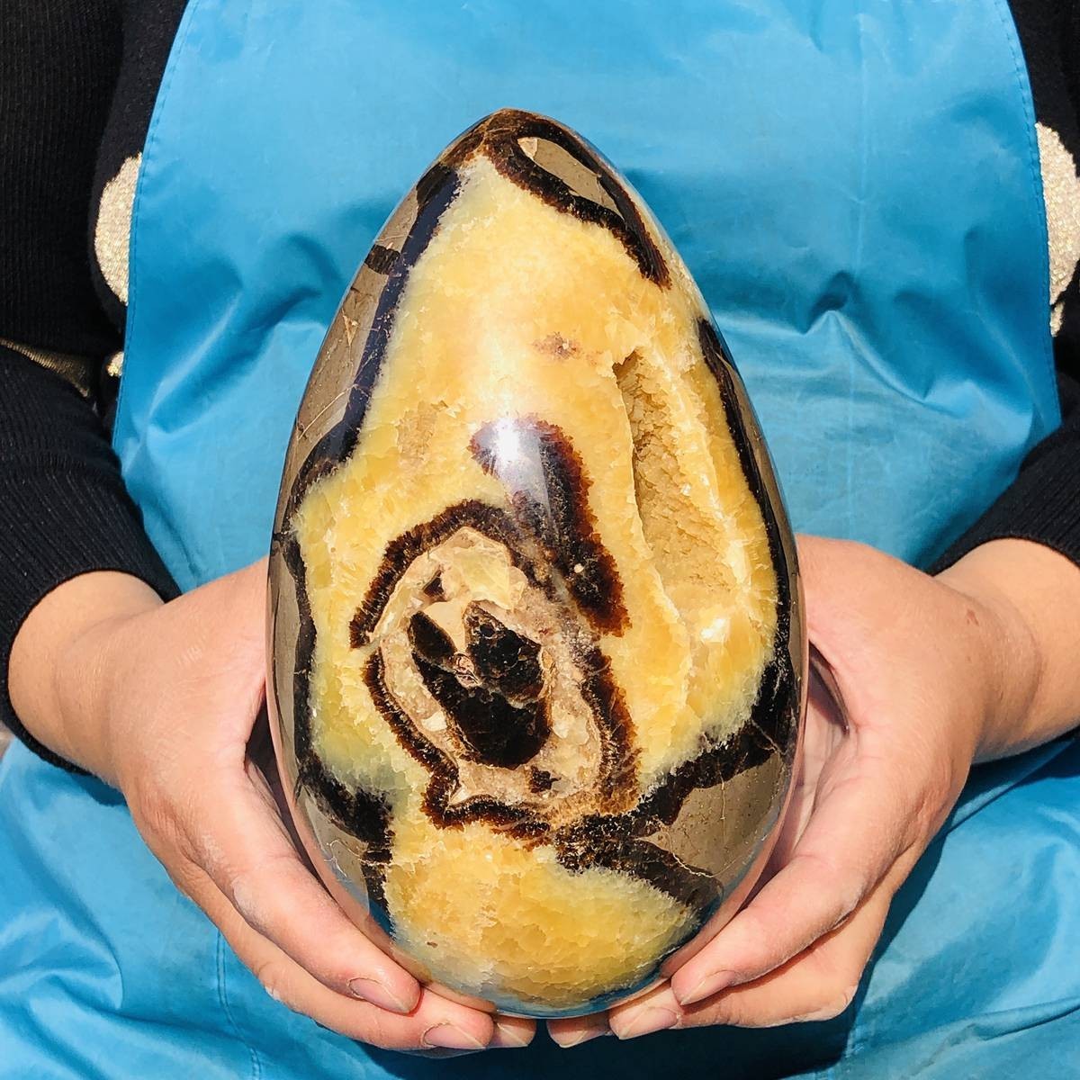 7.28LB Natural Turtle Back Stone Egg Shape Dragon Crystal Crack Healing