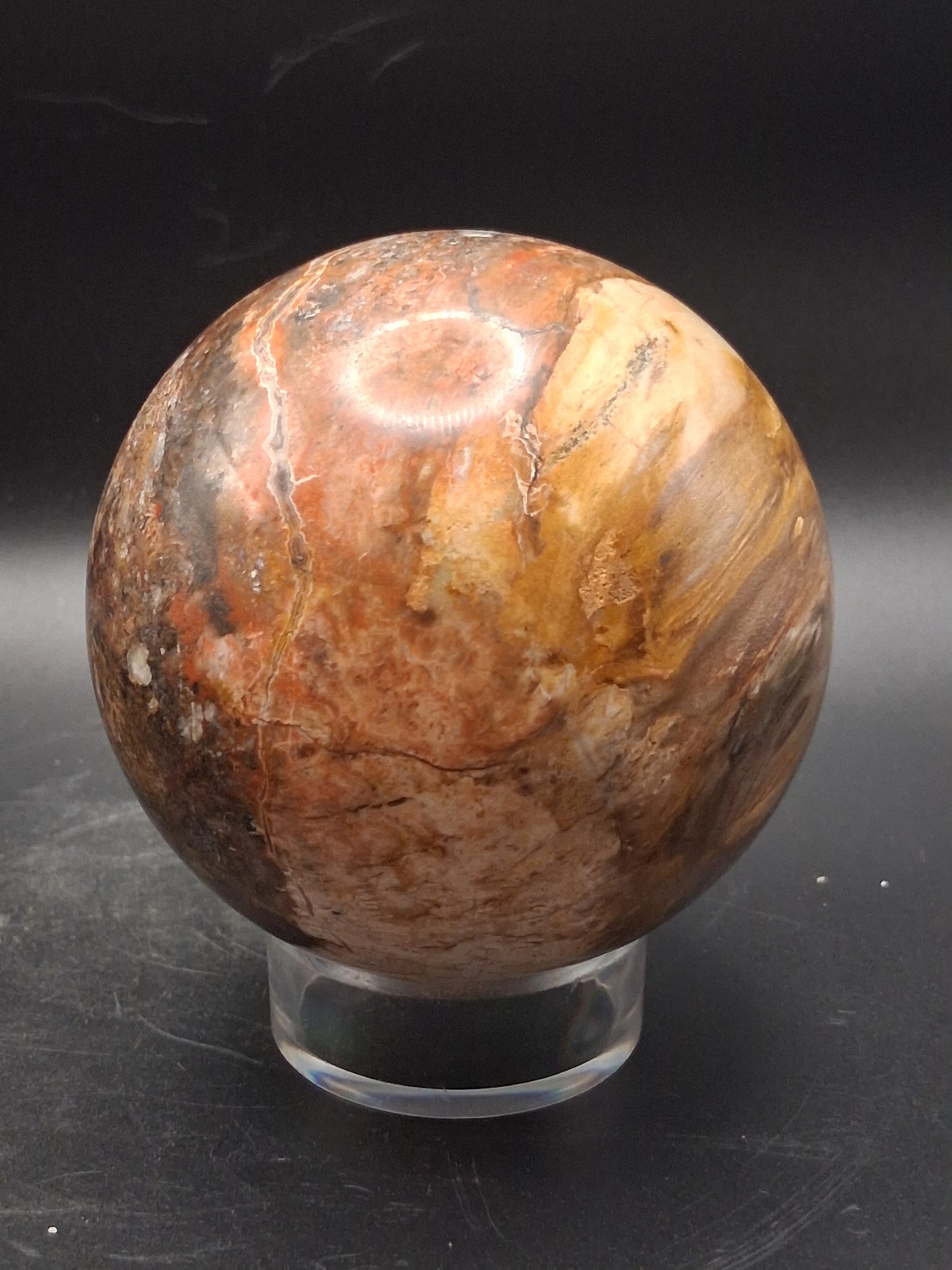 Large petrified wood sphere! 81mm, 3.1 inches, 1.8 pounds