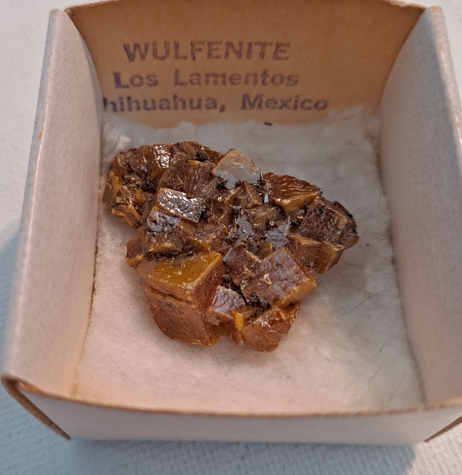 Wulfenite crystals, very nice specimen. Los Lamentos, Mexico. 3.0 cm.