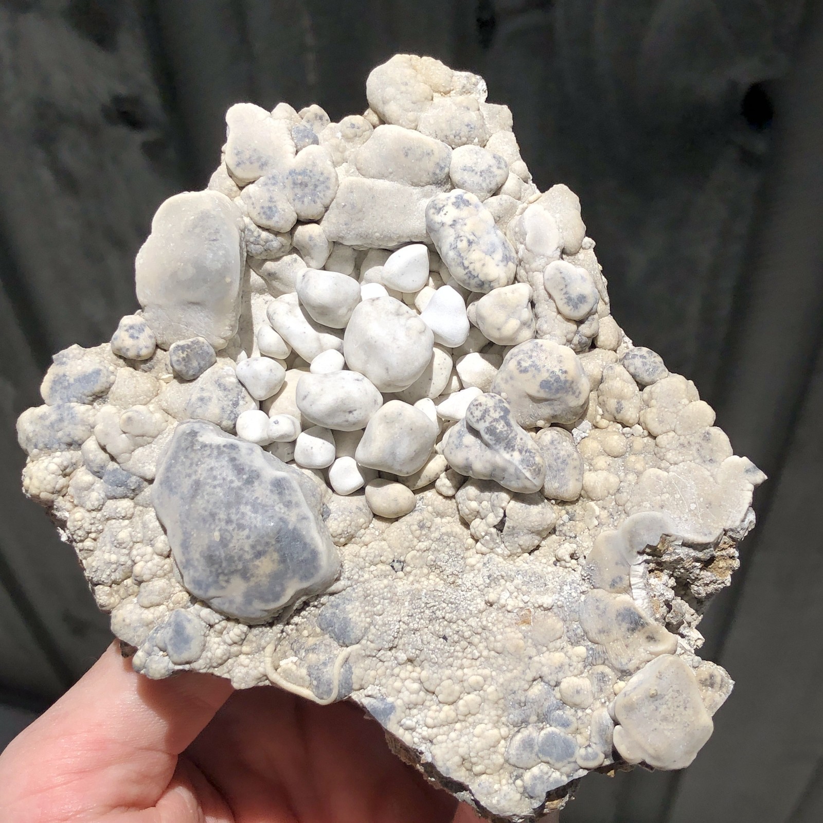 11.8cm Cave Aragonite “Bird’s Nest” from Styrian Erzberg, Austria