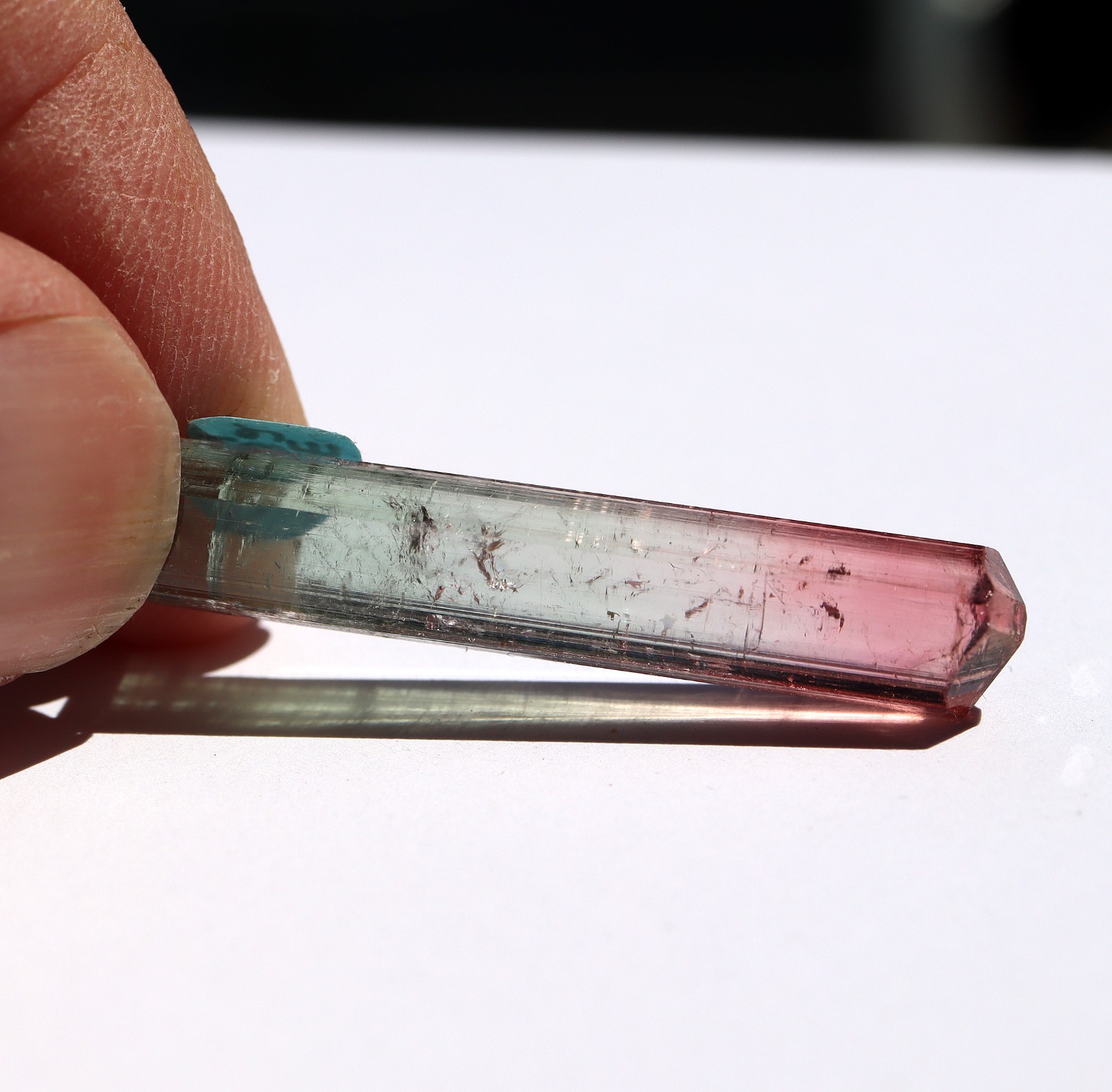 Gem Tourmaline DT. Cruzeiro Mine, Brazil. Dr. Stephen Smale collection 1985