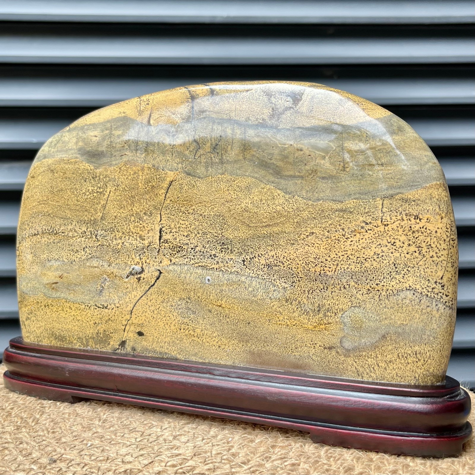 Natural Scenic Stone Display Polished Pattern Art w/ Wood Stand 4.1 lb