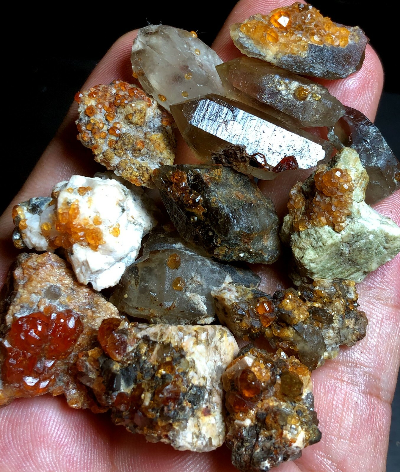 69g 14 Brand new Rare Black SMOKY QUARTZ Crystal Point&Garnet Spessartine f703