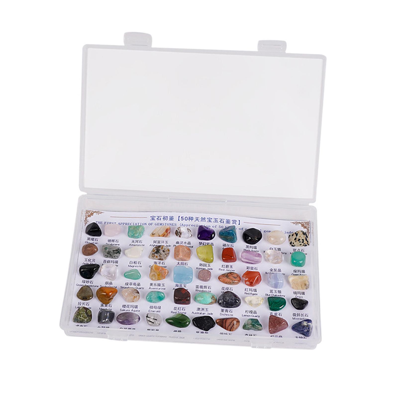 50 Pieces Rocks Collection for Kids Mineral Stones for Display Indoor Craft