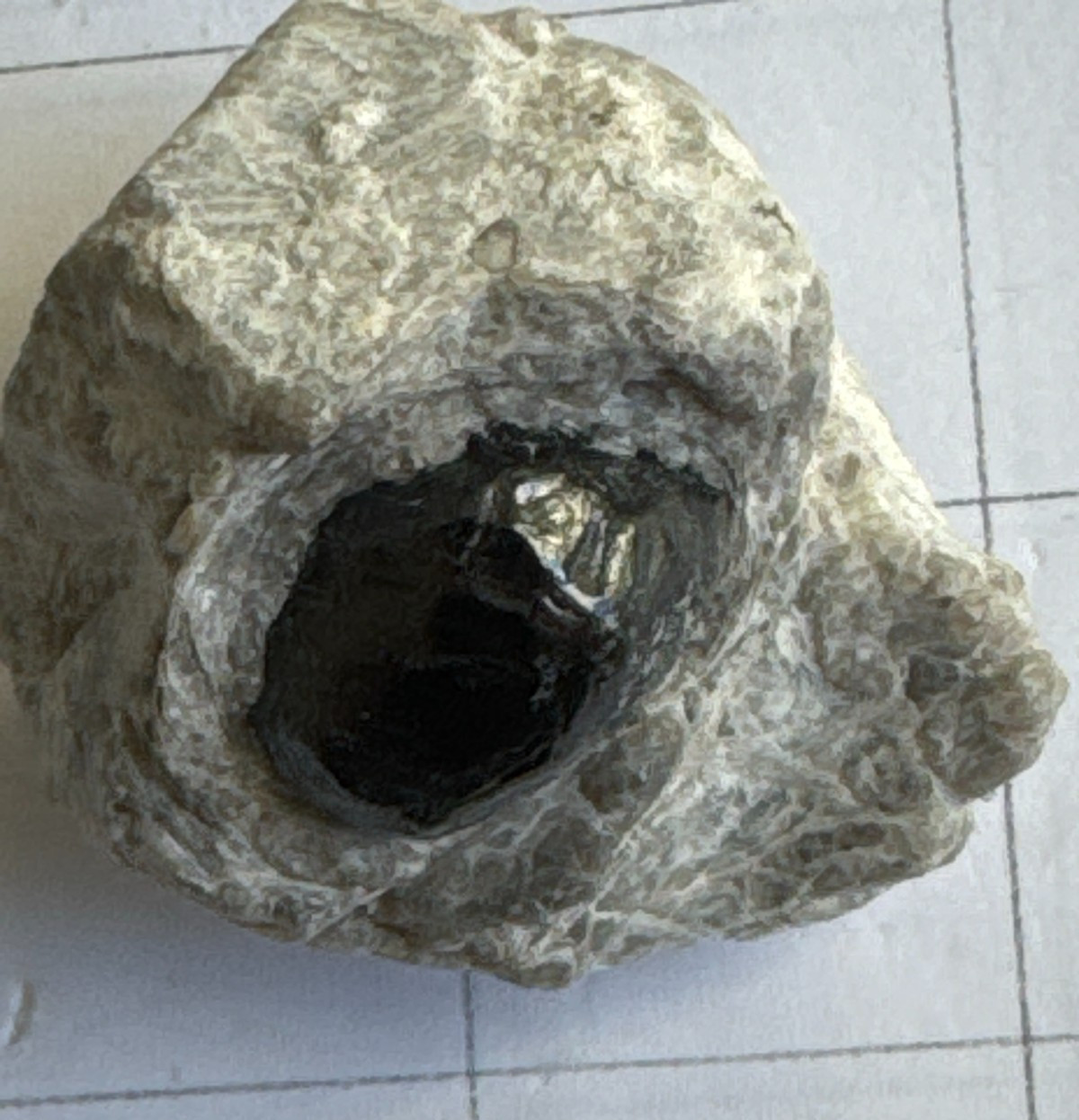 Vintage Apache Tears Obsidian in Matrix – Arizona – Natural Volcanic Glass – Wit
