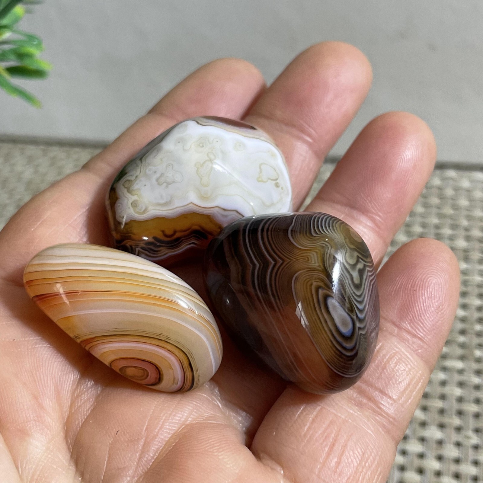 3pc 44g Crazy Lace SILK Banded Agate Polish Tumbled Stone Madagascar