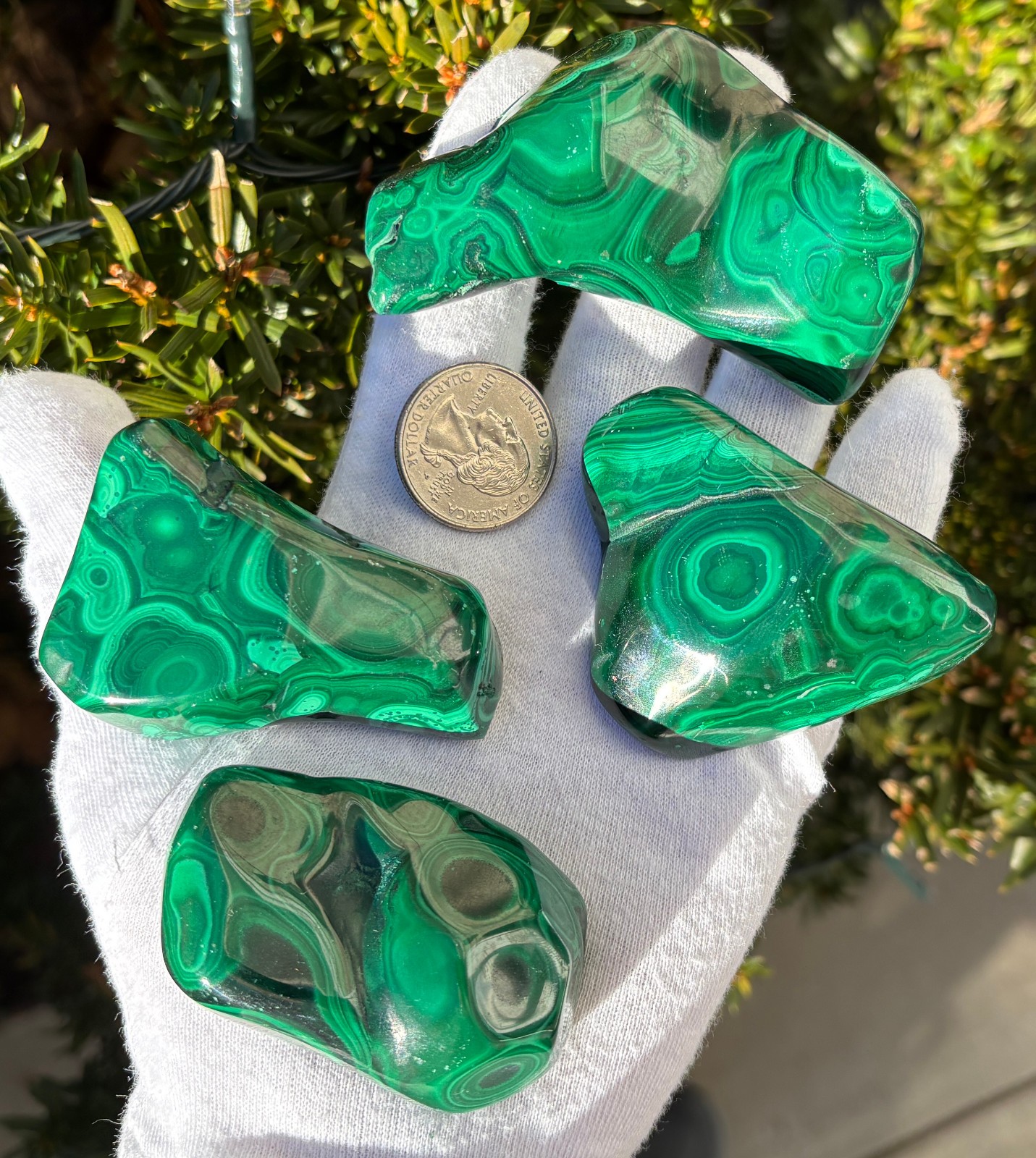 USA SALE 402g LOT MALACHITE POLISHED XL TUMBLE PALMSTONE SIZE PALM STONE STONES