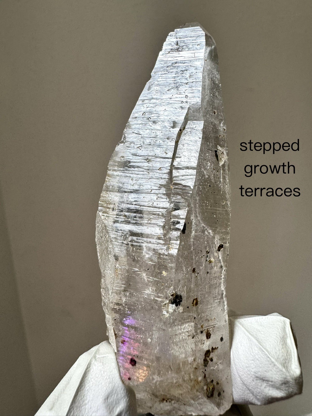 “Sealed Sand Blade” Ganesh Himalayan Quartz Akashic Graphite Inclusions Crystal