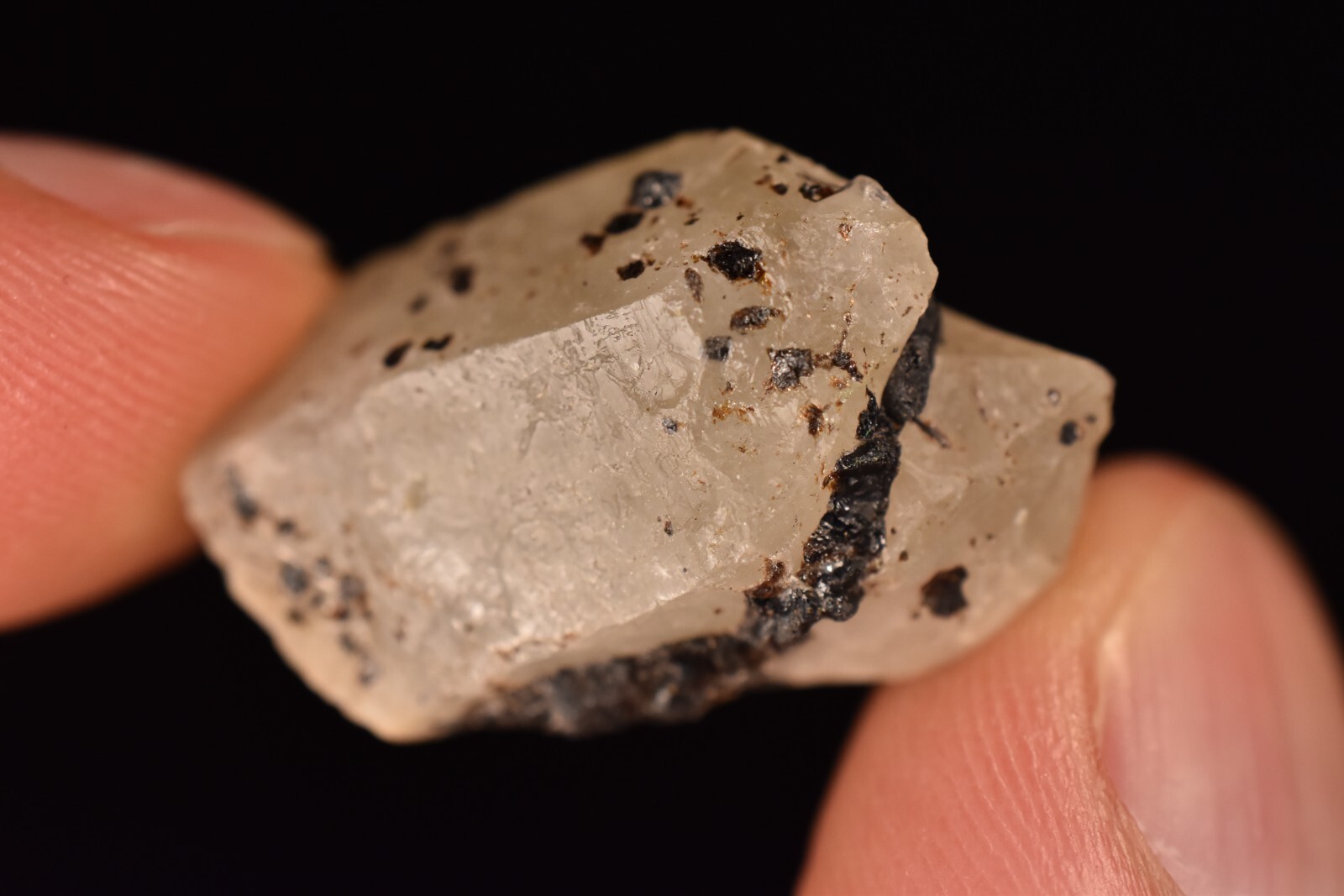 *AUSTRALIAN* CASSITERITE In QUARTZ 2.8cm 7.1g Natural Crystal Tin Yankee Lodes