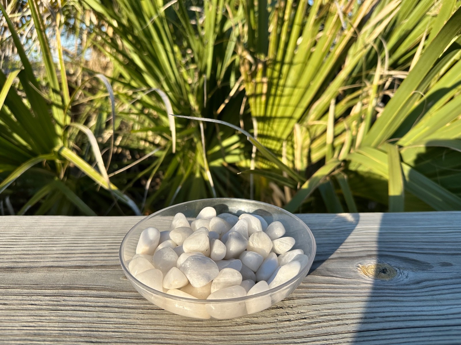 1/2 lb White Quartz Tumbled Stones – Bulk Polished Milky Crystals Lot (8 oz)