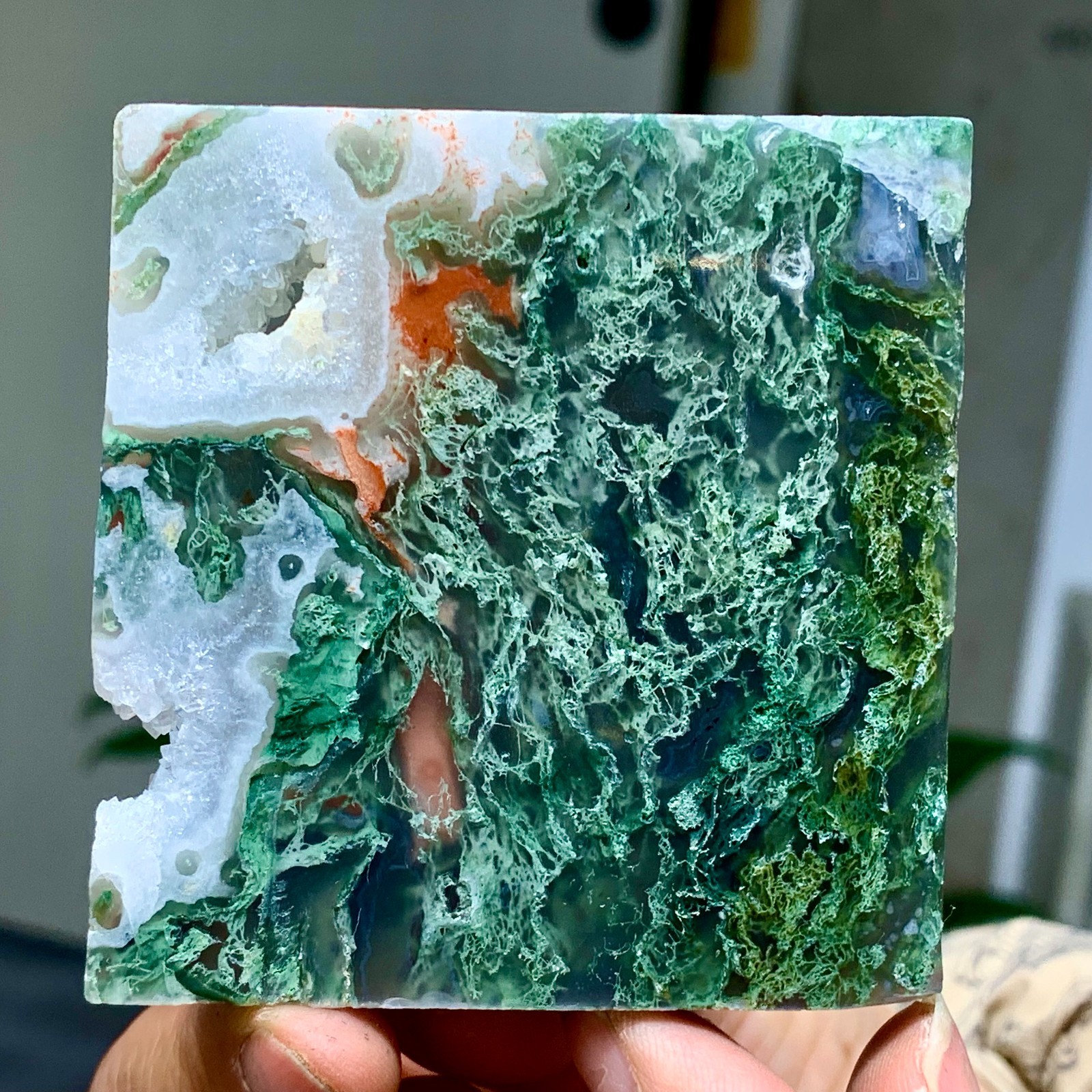 133G Natural Water Grass Agate block Quartz Crystal Healing D448