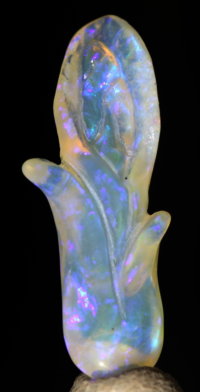 OPAL Carving FLOWER CALLALILY Hand Carved Gemstone Sculpture AUSTRALIA BOULDER