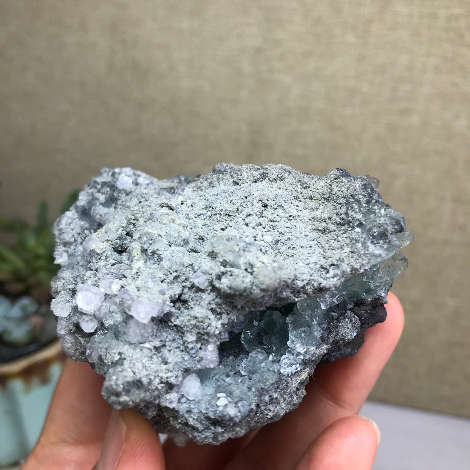 215g NATURAL Green Cubic FLUORITE paragenesis Crystal Cluster Specimen A4777