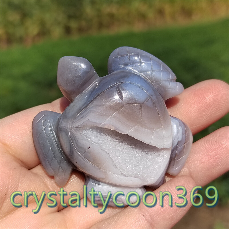 Natural Geode Agate Turtle Quartz Skull Carved Crystal Skull Animal 1pc