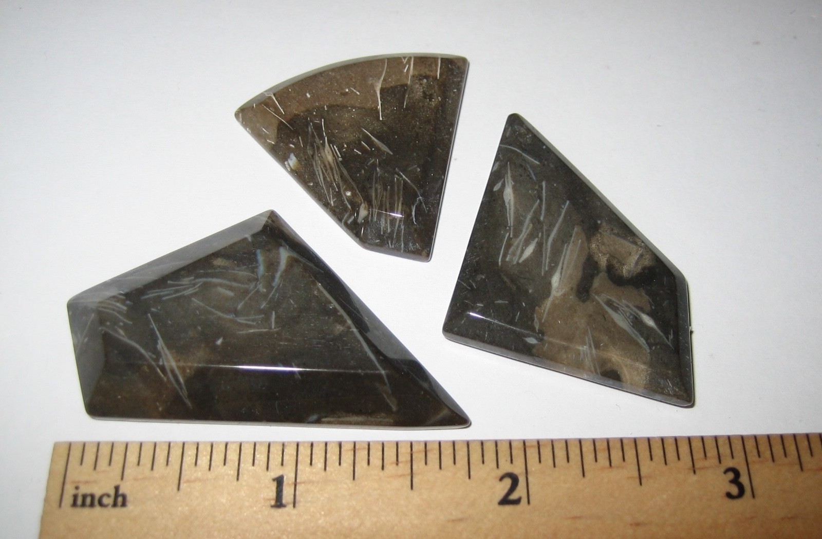 3pc TUMBLED POLISHED 1.2″-1.8″ FOSSIL FORAMINIFERA STONE MINERALS ~ 30.7grams *2