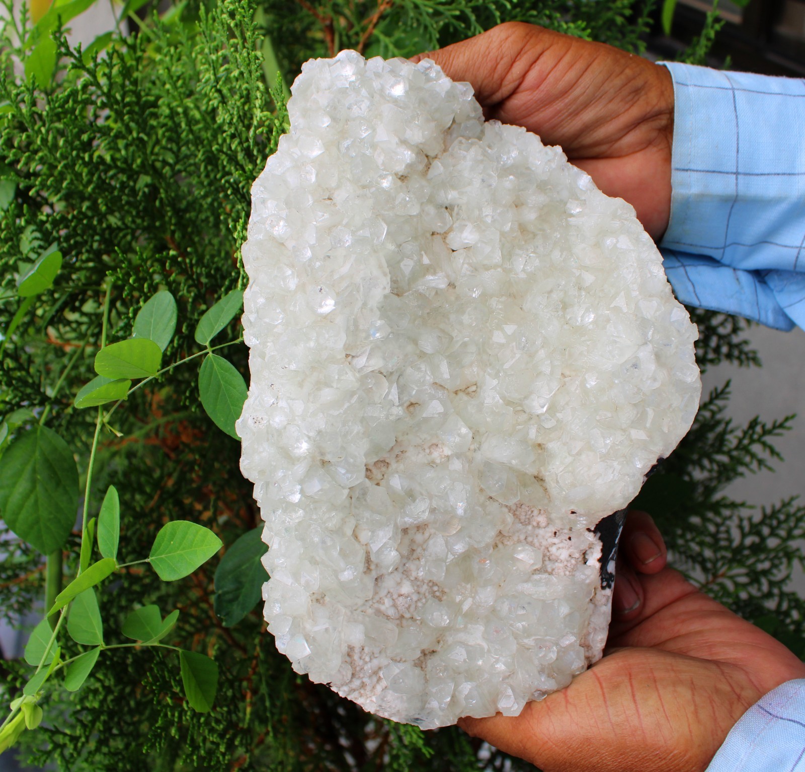 Light Green Apophyllite Crystals On Matrix Mineral Specimen