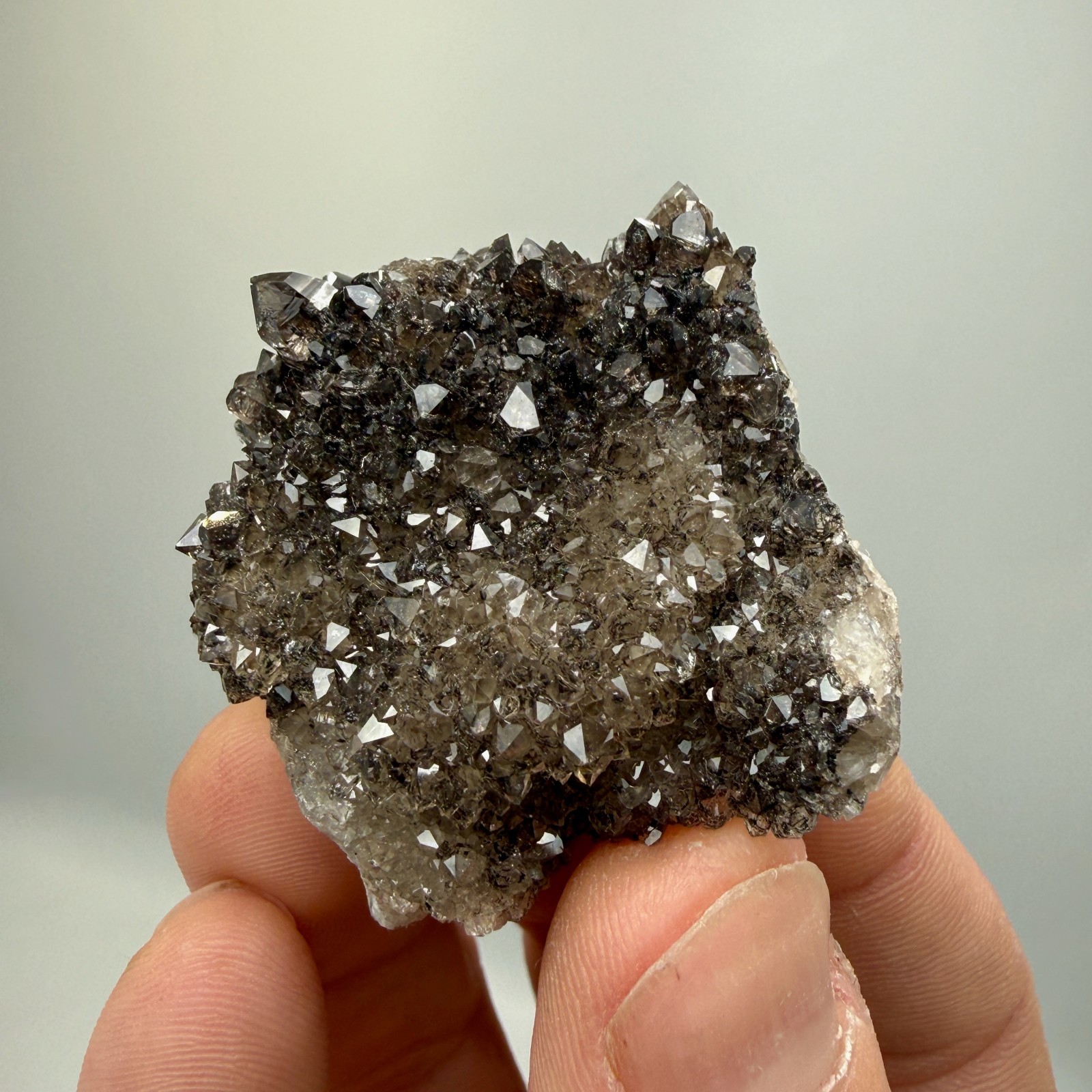 Black Druze with Hydrocarbon Phantom Percher Herkimer Diamonds, Rare Matrix