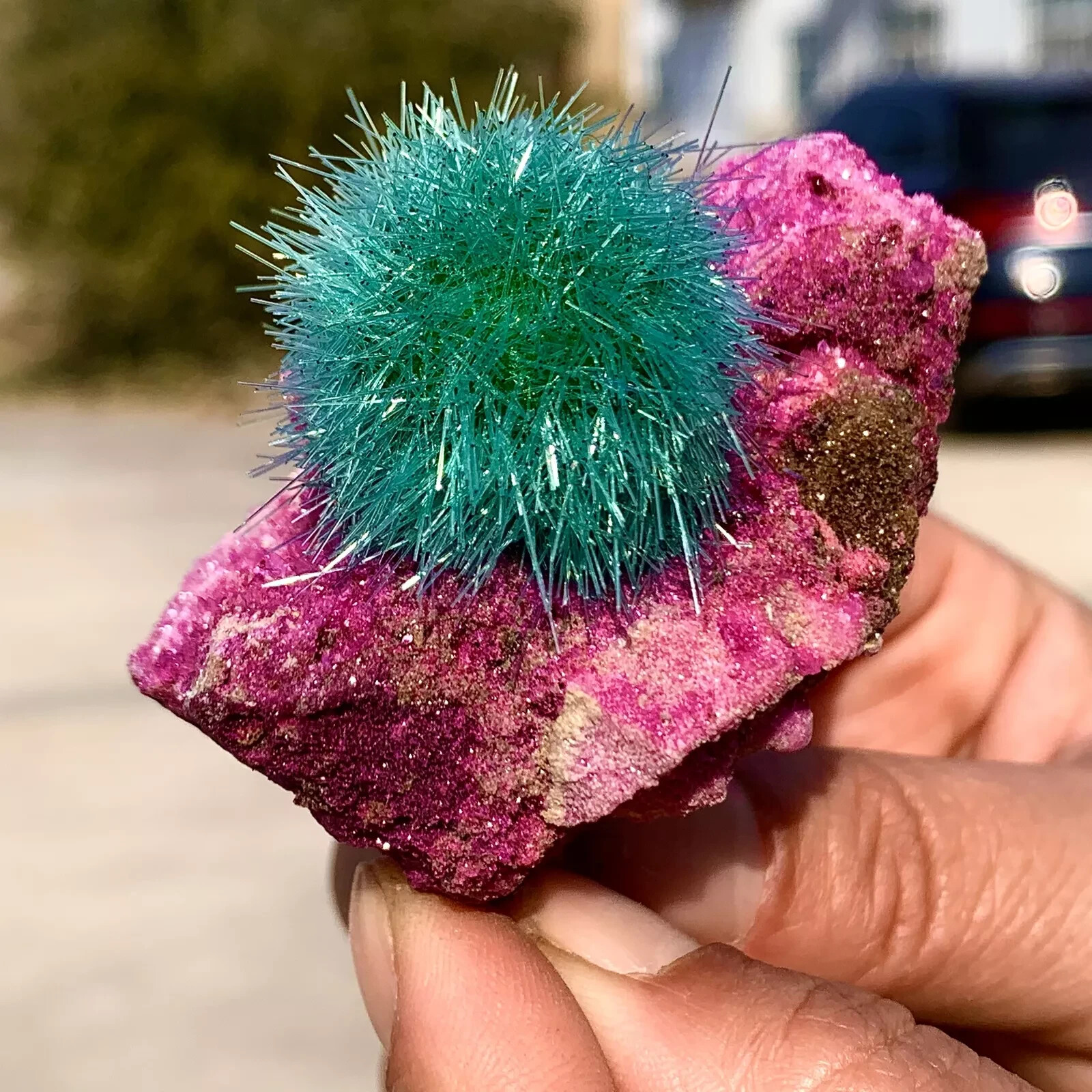 Rare Indian Ruby Dandelion Zeolite Miner Cluster Geode Crystal Stone Specimens