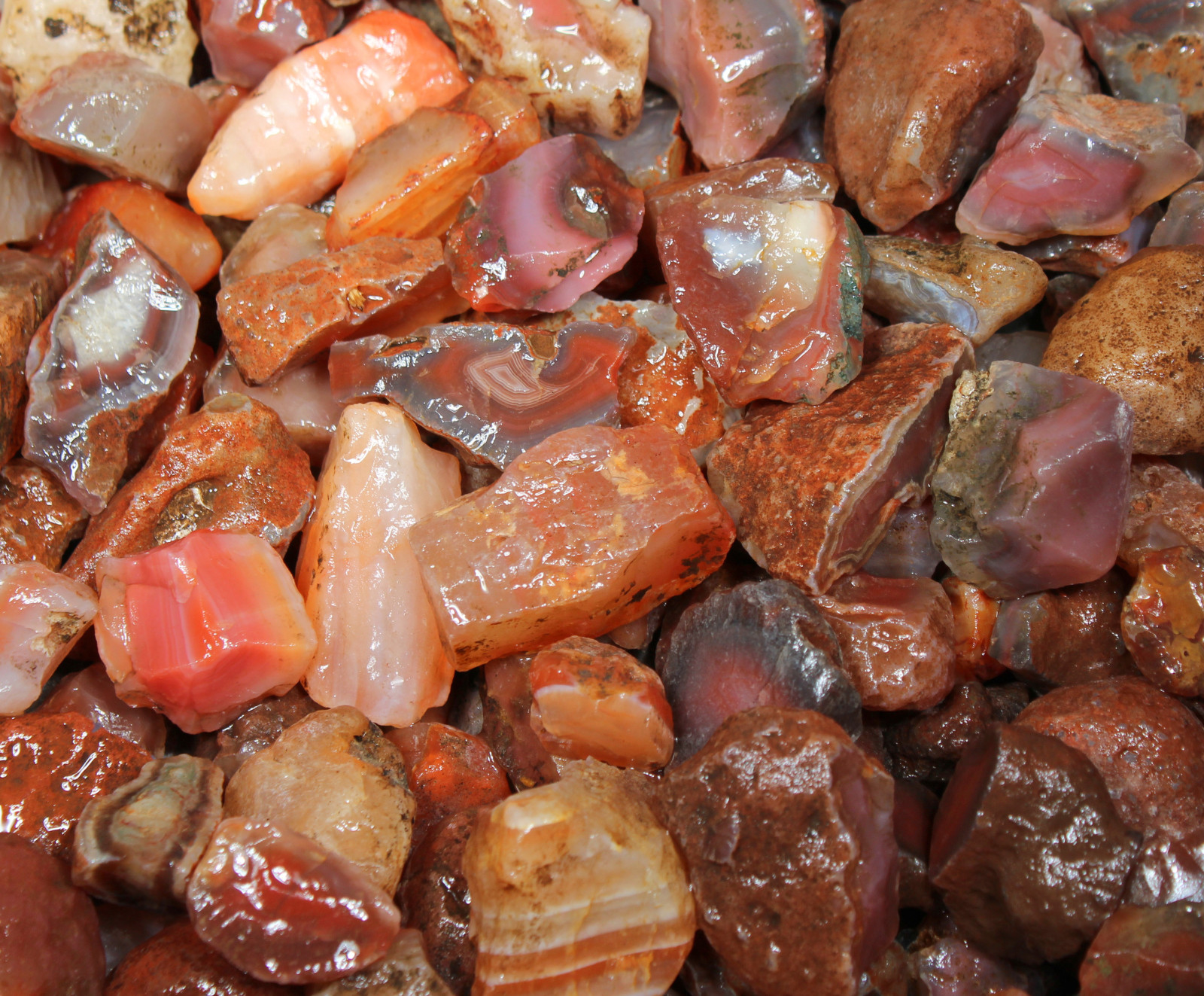 Red Carnelian – Rough Rocks for Tumbling – Bulk Wholesale Options