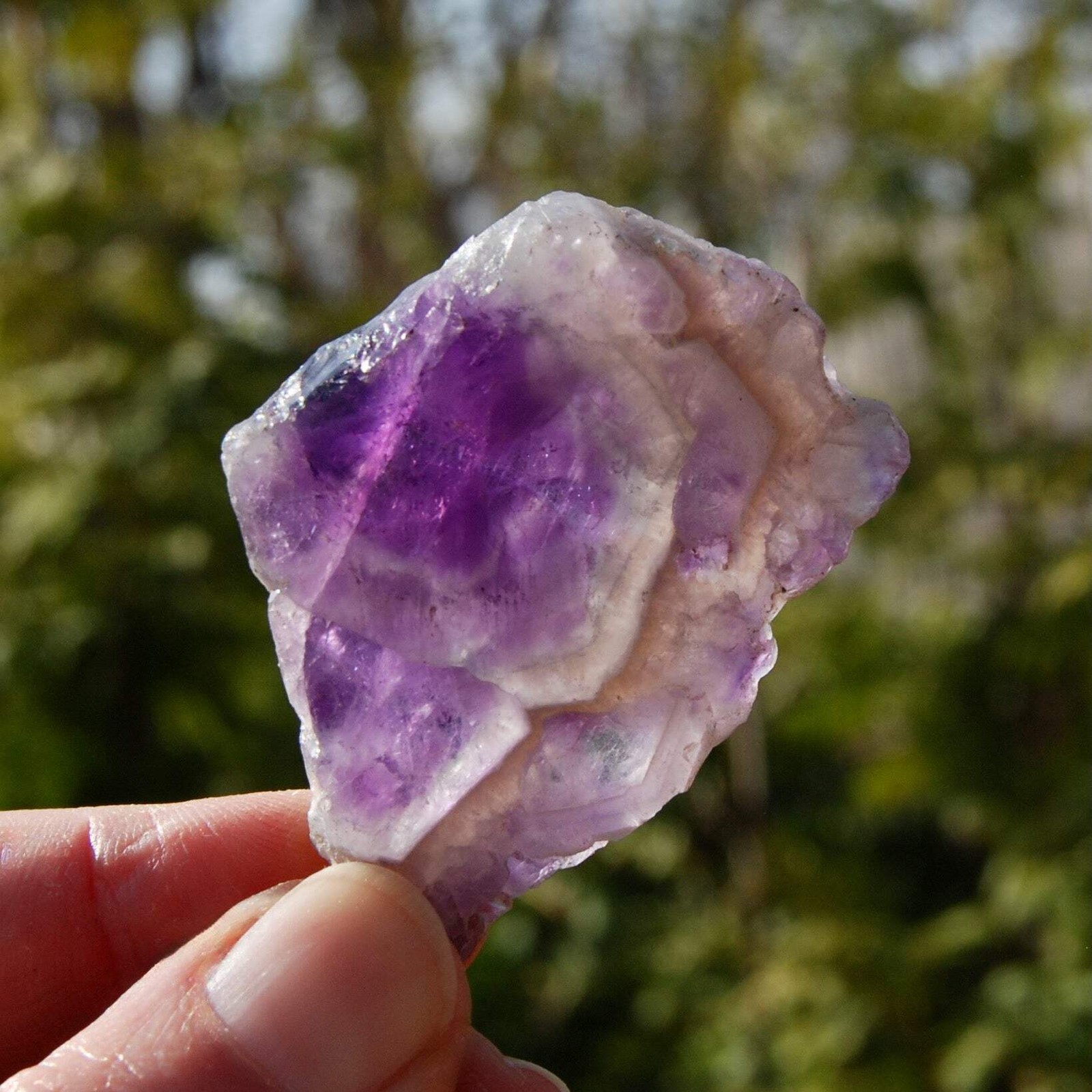 2″ Chevron Amethyst Trapiche Quartz Crystal Slice, Zambia ca20