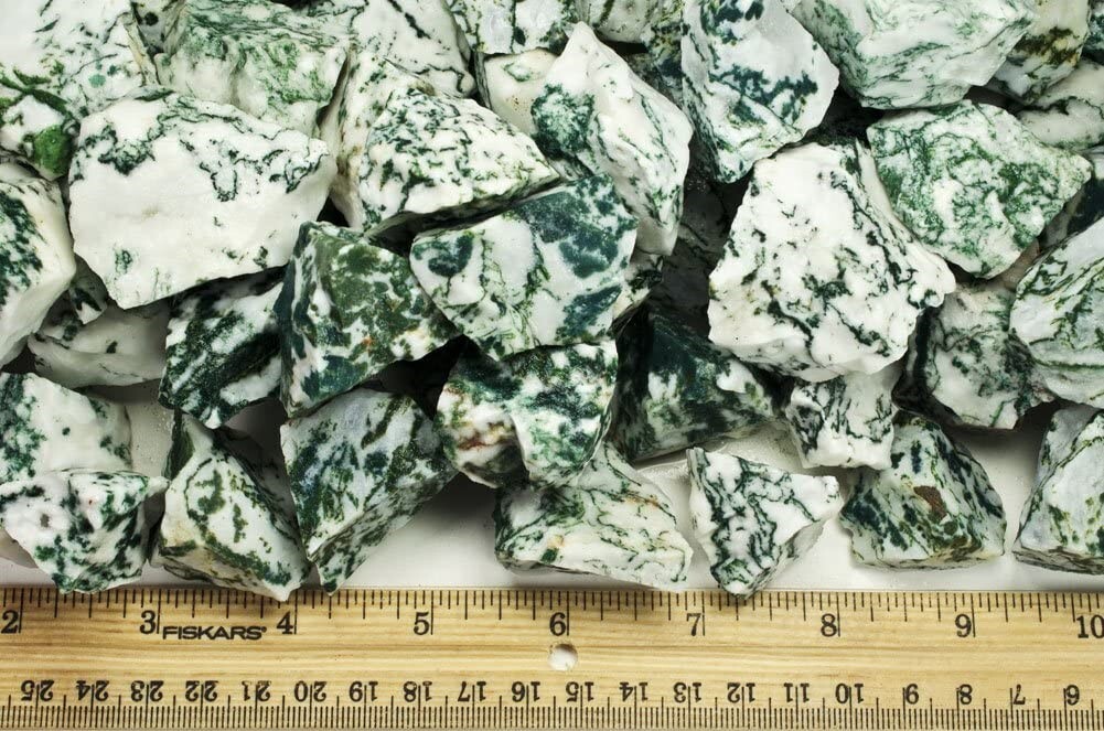 1/4 lb Tree Agate Rough Stones – Natural Crystal Mineral Rock Specimens Tumbling