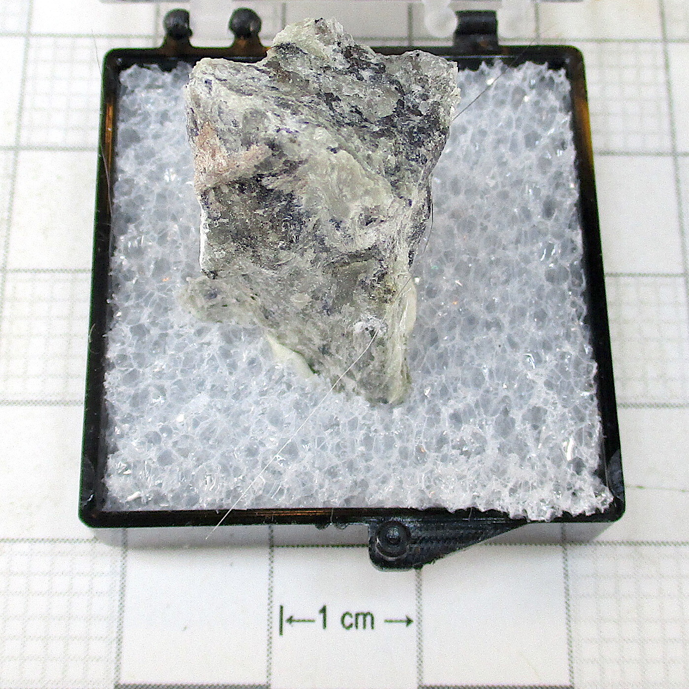 10000 TN Denisovite (TL) Eveslogchorr Mount Khibiny Russian Federation 2683