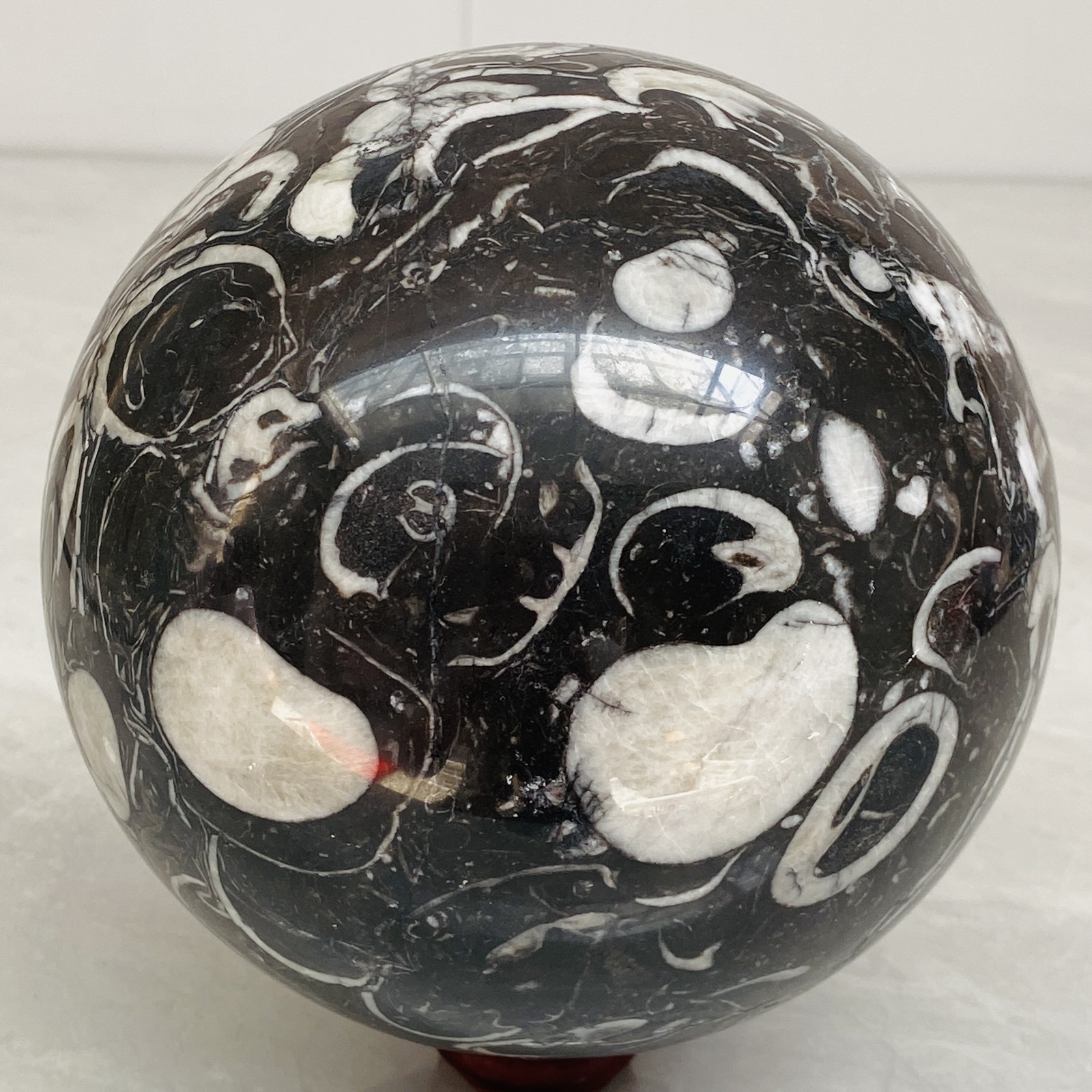 Natural Shell Jasper Thousand Eye Stone Crystal Polished Ball Healing (9.43LB)