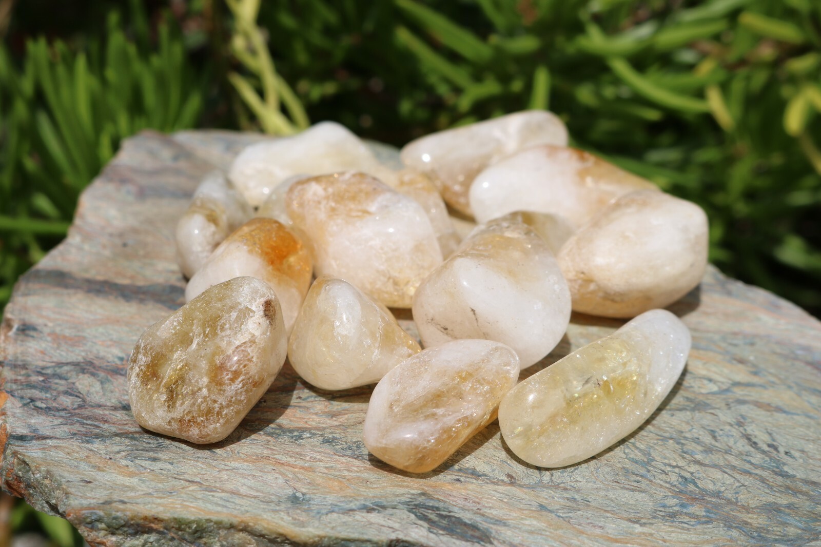 Tumbled Citrine – Beautiful Coloring 1/2 LB (8oz.) Exact Lot US Seller! #0516G