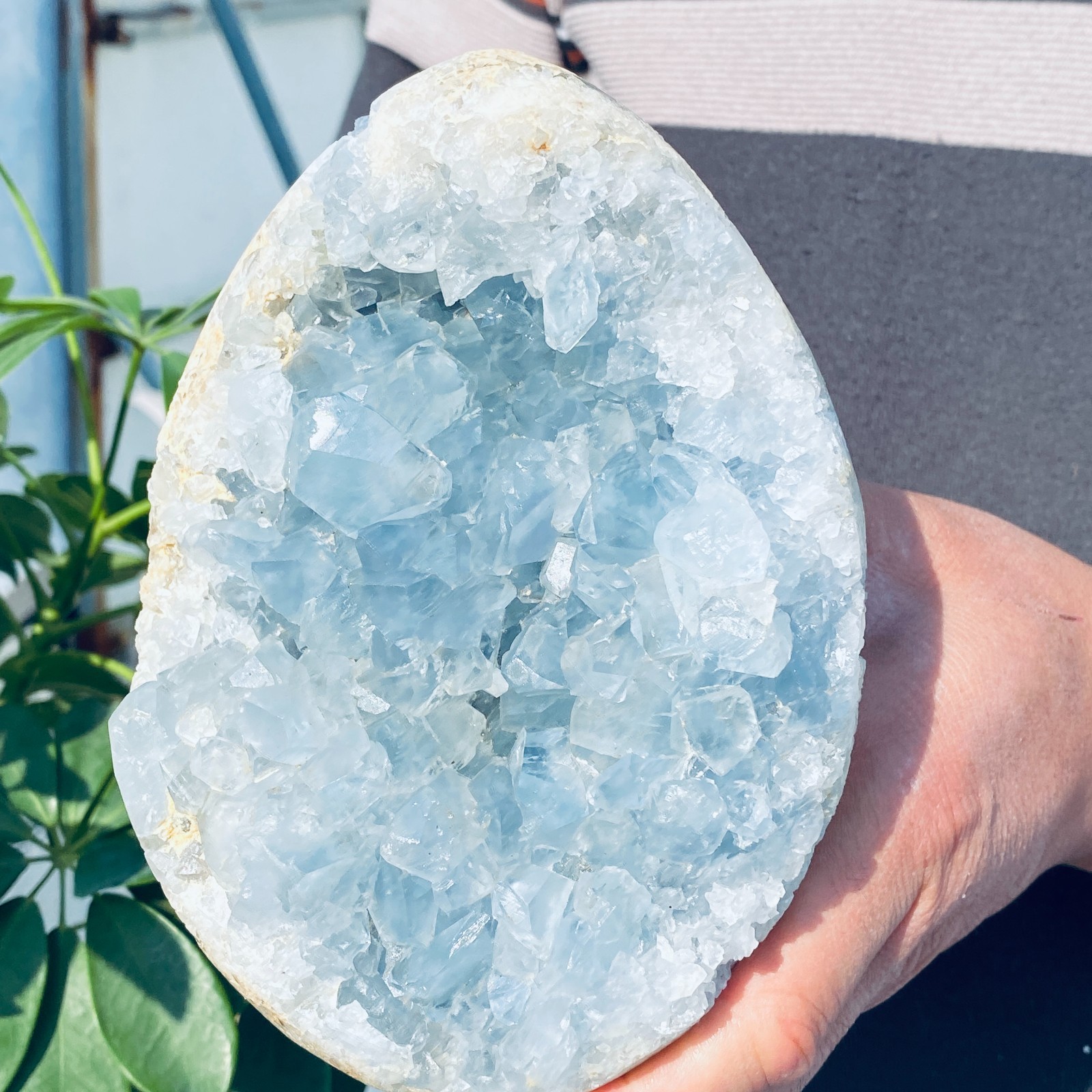 4.63LB Natural Beautiful Blue Celestite Crystal Geode Cave Mineral Specimen
