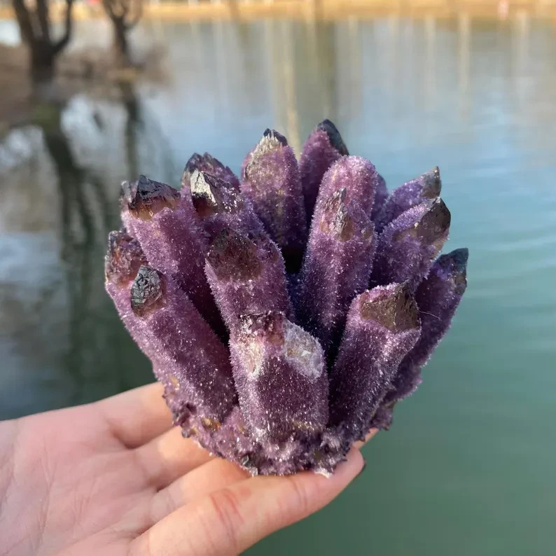 2026NEWFIND 1PC Rare Dark Amethyst Quartz Cluster Healing Purple Crystal Geode