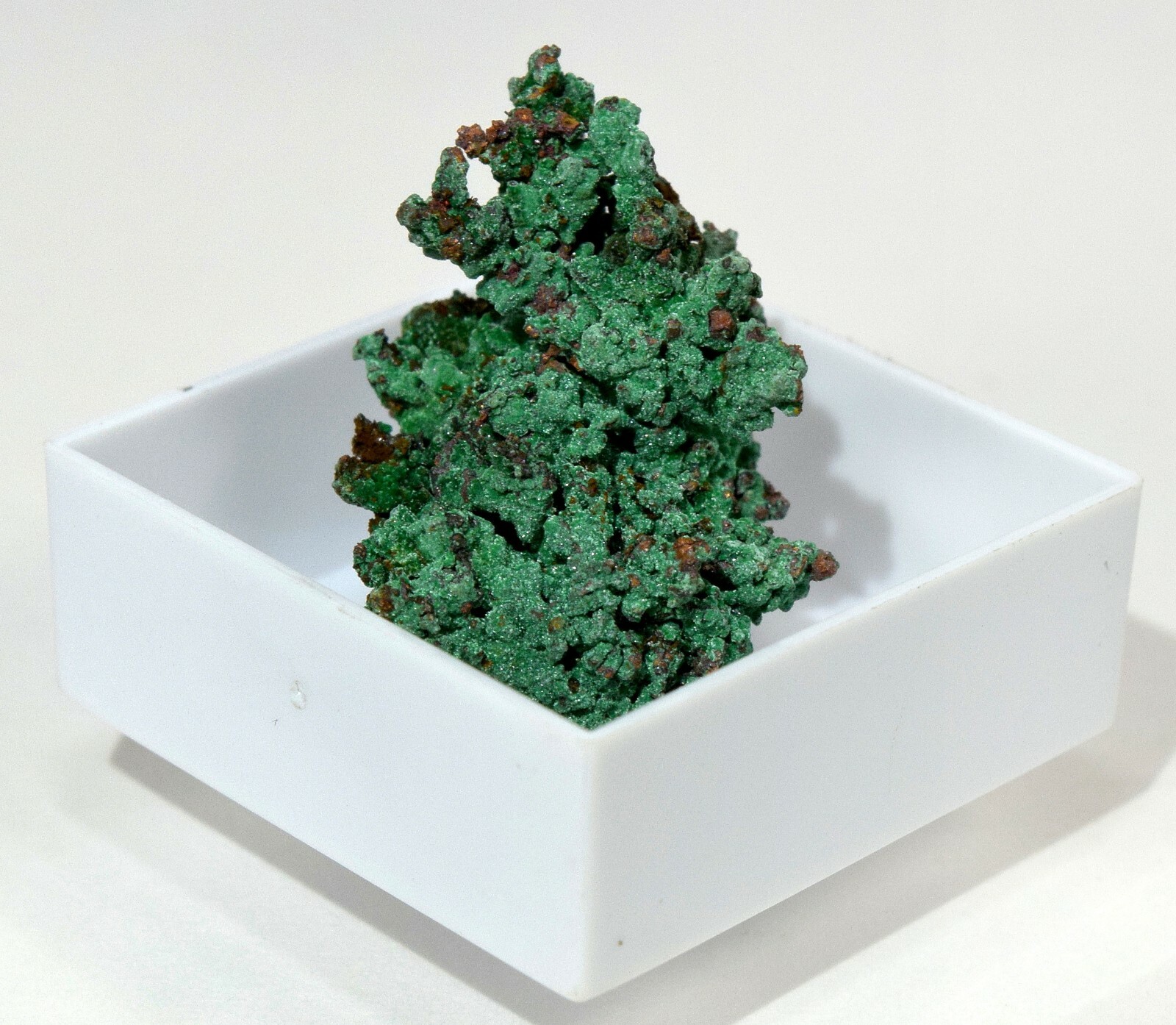 Green Orange Copper Cluster in Box Collectible Gemstone Crystal – Morocco (1PC)