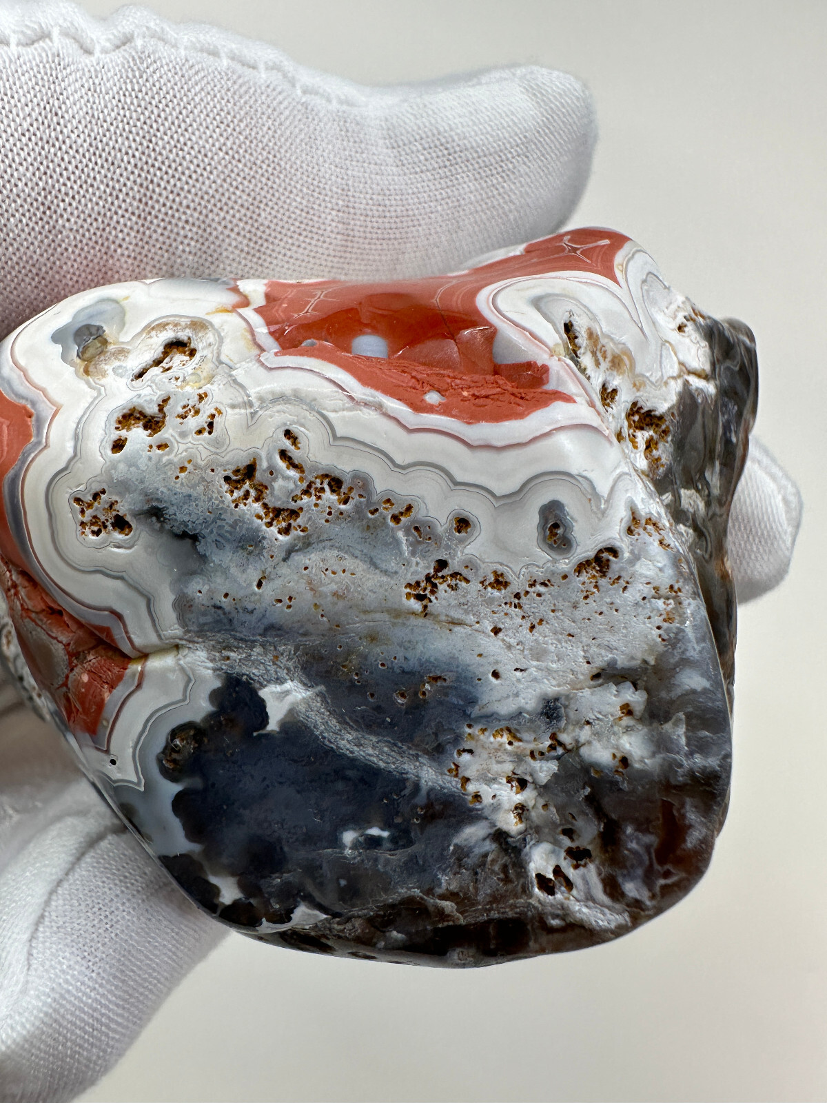 RARE Large Tumbled Kentucky Agate Palm Stone from Estill County, Kentucky